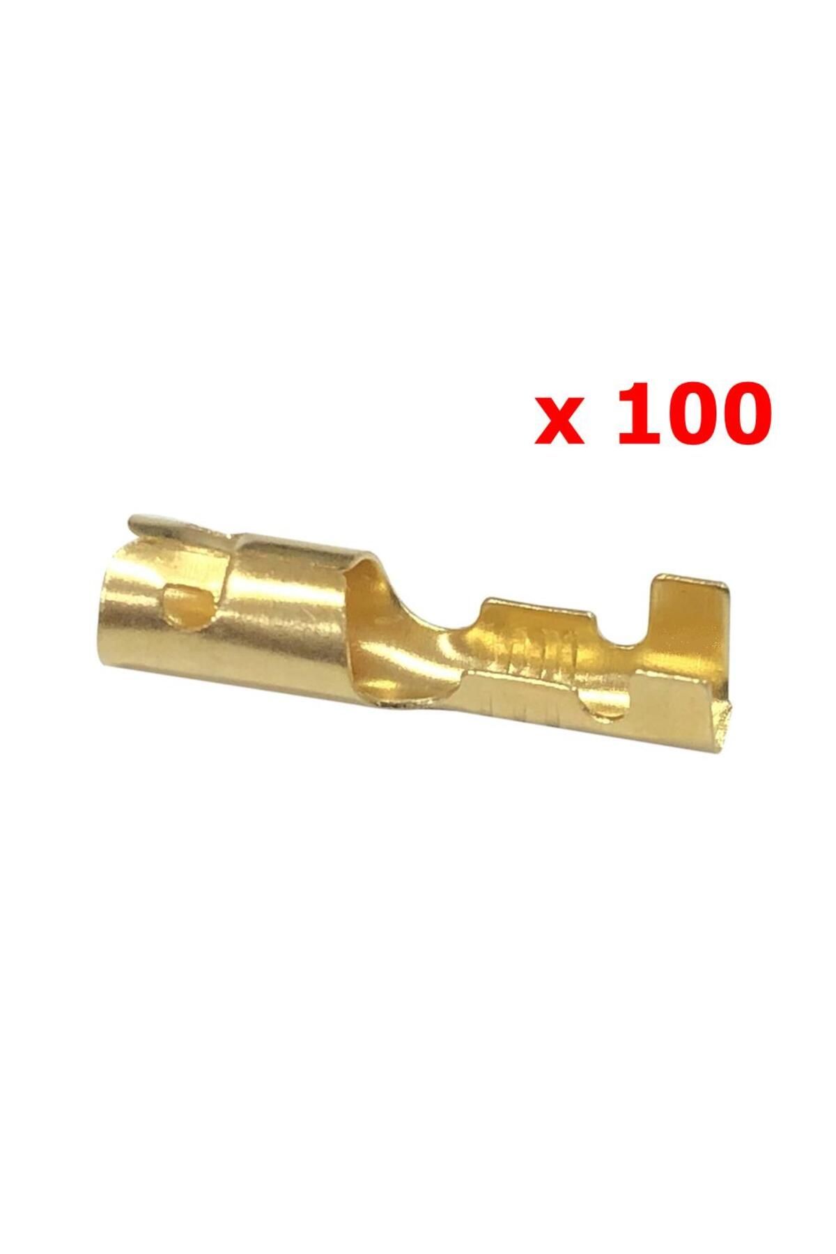 SEVGENT Dişi Fiş Yuvarlak Tks 4D (100 Adet)