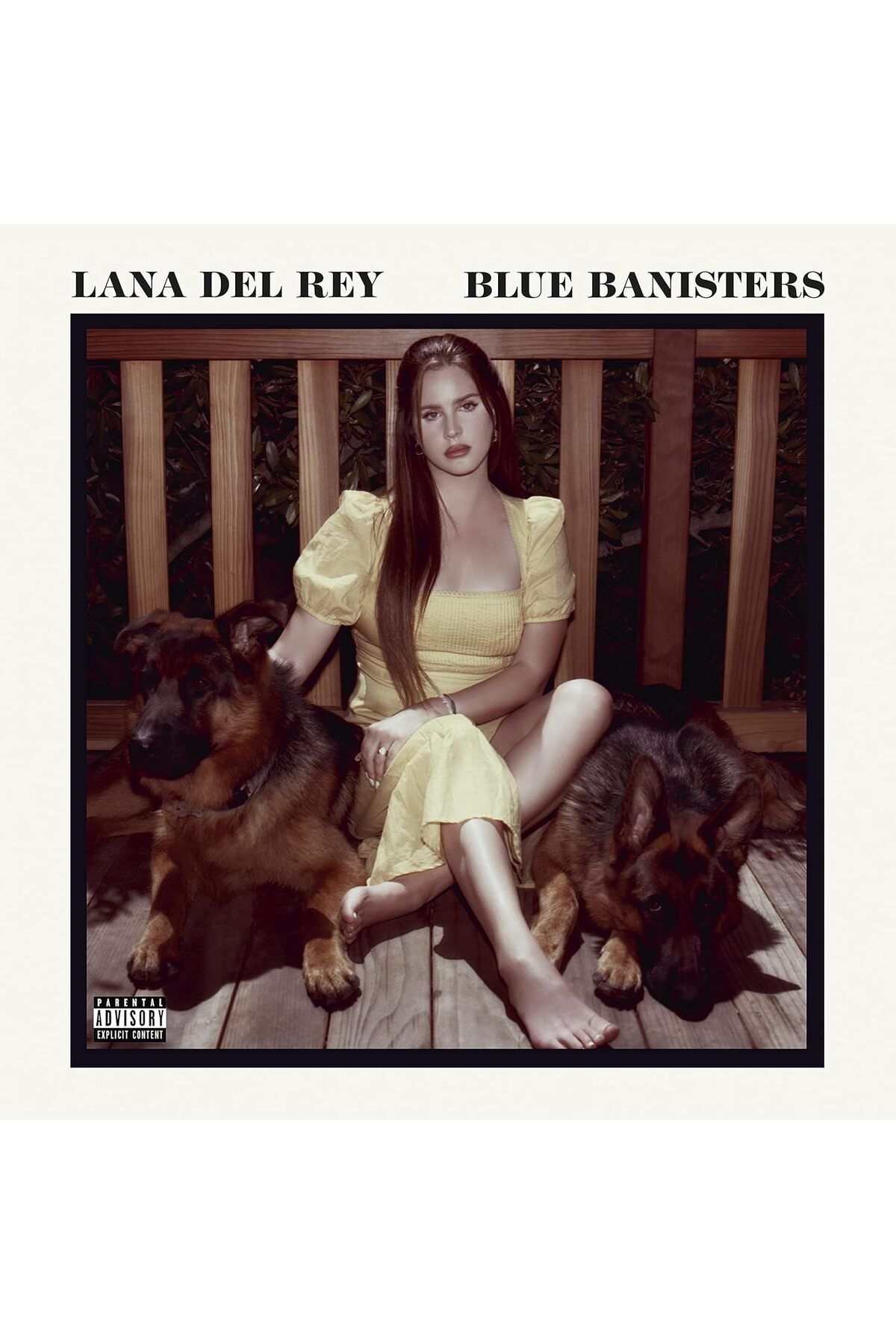 Store Sora Pak Lana Del Rey Blue Banisters (2 Plak)
