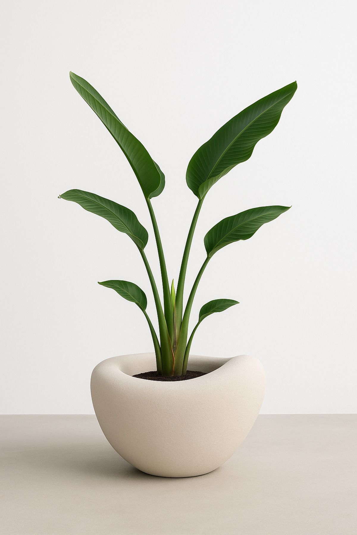 Lunalore Fiber Beton Görünümlü Dokulu Dekoratif Avize Saksı – 30 cm | Modern Tasarım Yapay & Canlı Bitki Uyum