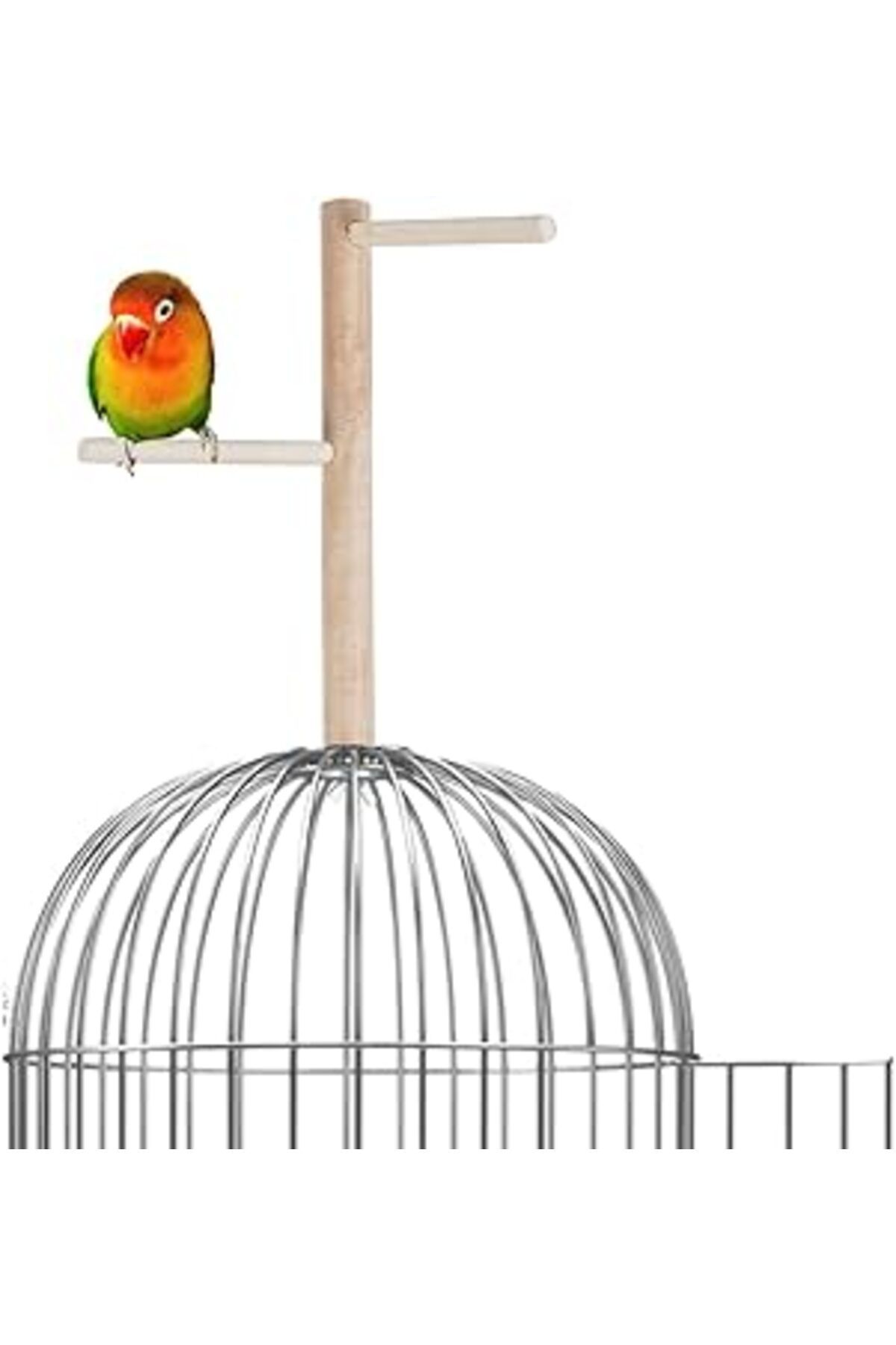 Mu Art Ahşap X-Perk Ağaç Sopalı Kuş Tüneği Kuş Parkuru Tünek Boy 23 Cm