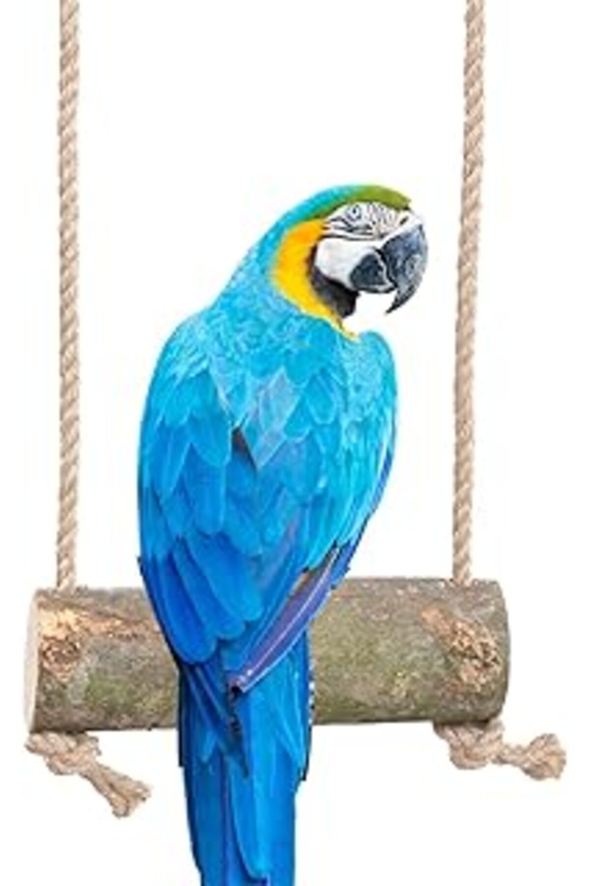 Mu Art Ahşap X-Perk Papağan Kuş Salıncağı Tüneği Kuş Tünek Dğal Ağaç Tünek Kuş Salıncak