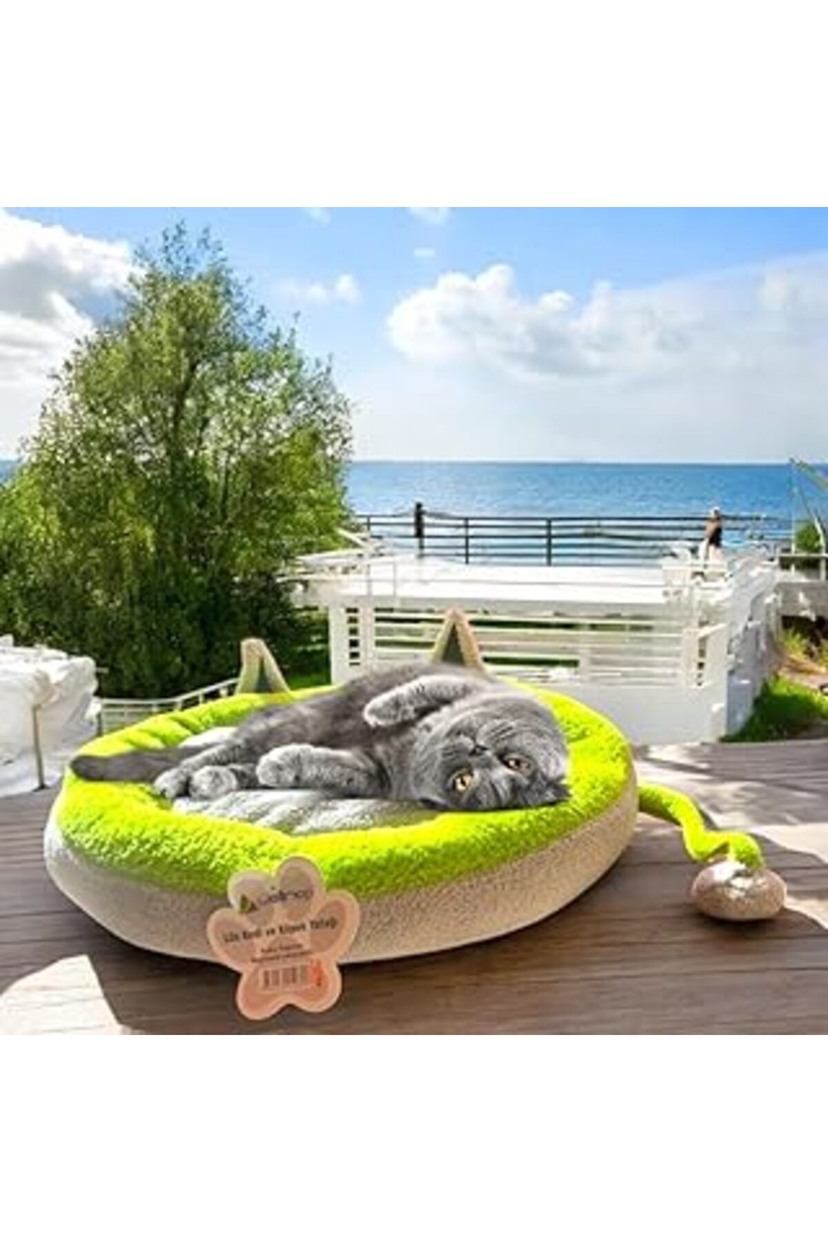 Mu Art Ahşap Lüks Kedi Ve Köpek Yataği Kuyruklu Gri Yeşil