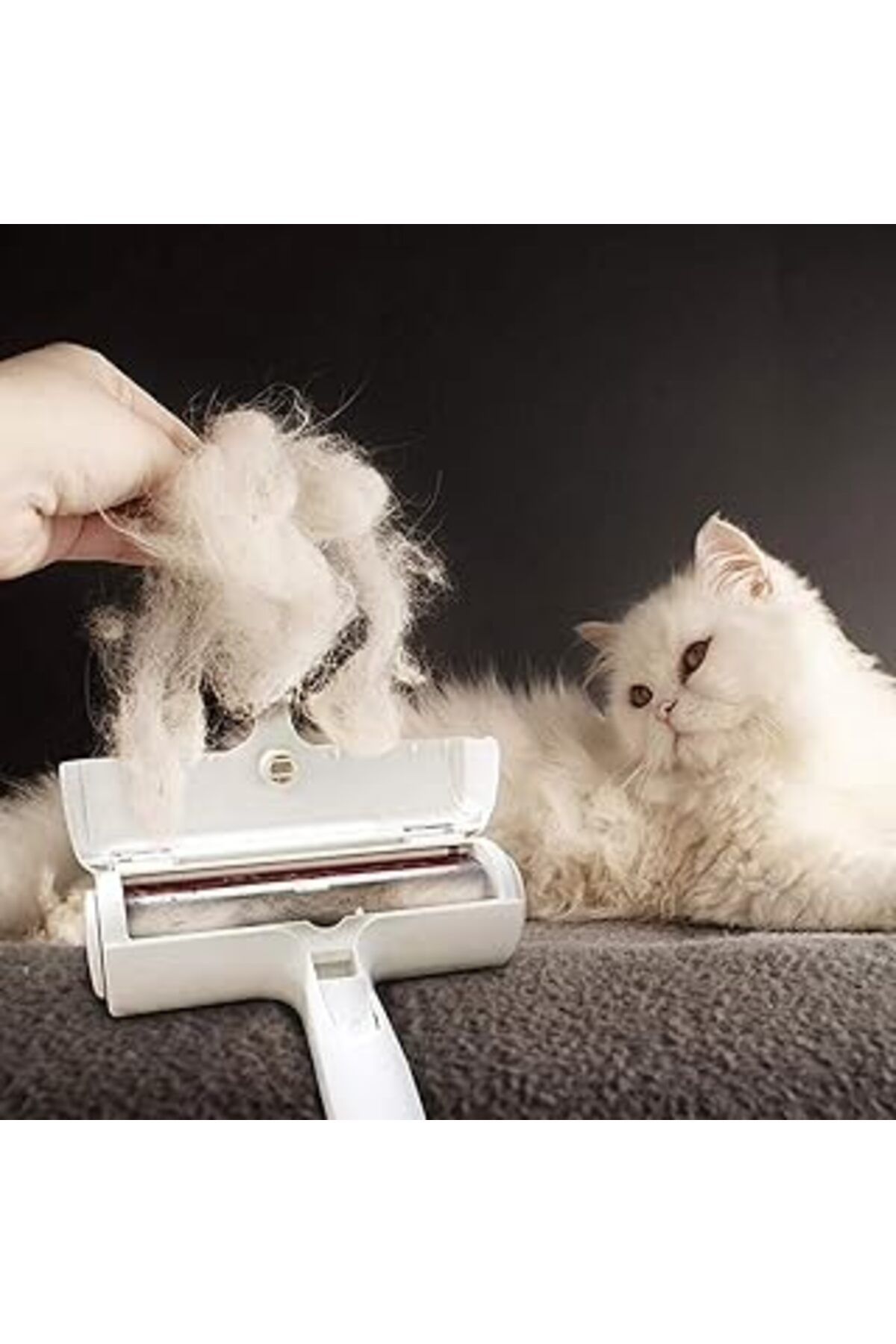 ASİTAN Buffer Hazneli Kedi Köpek Evcil Hayvan Kazak Kıyafet Elbise Halı Yatak Tüy Temizleyici Kıl Toz Topl