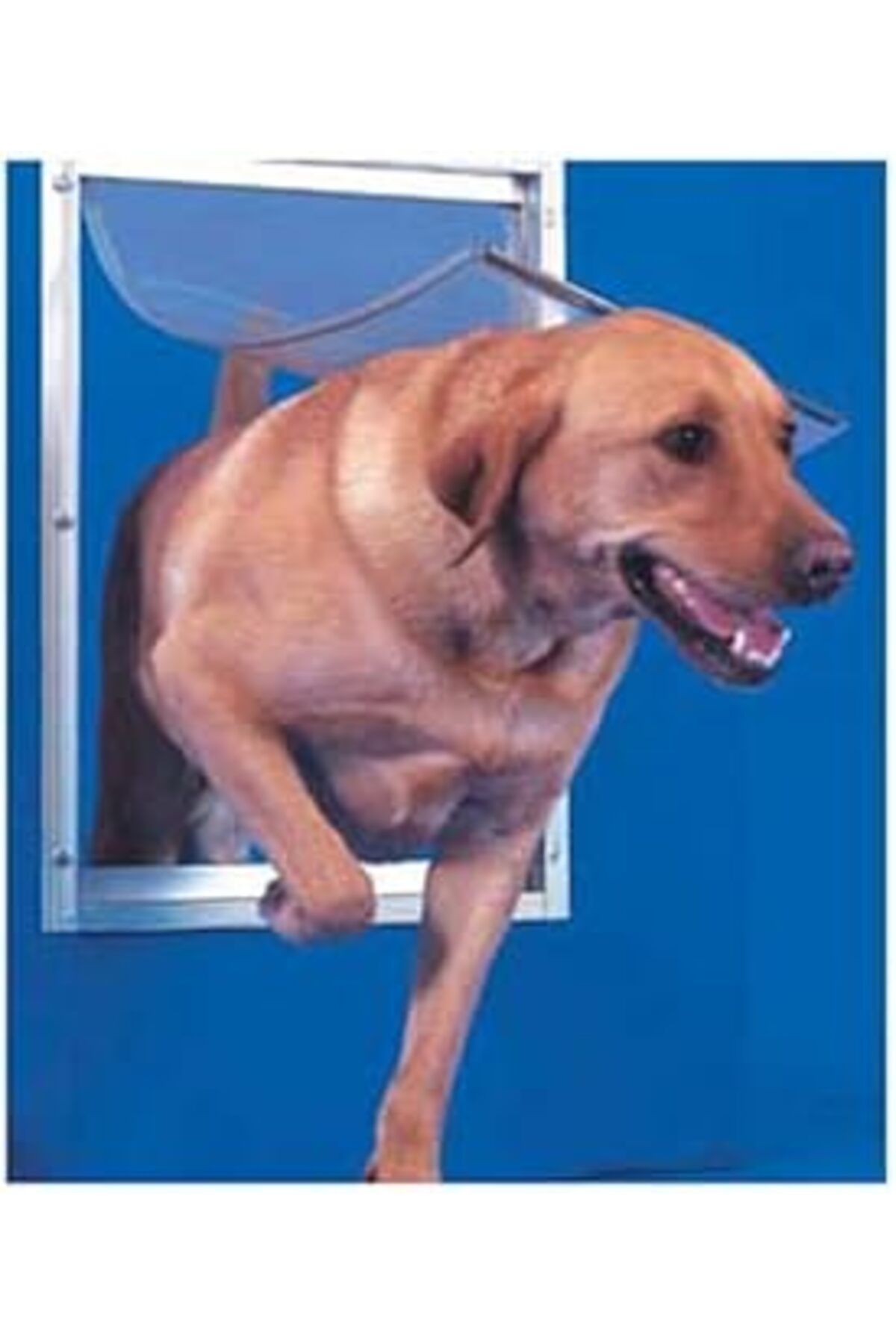 ASİTAN Ideal Pet Products Deluxe Alüminyum Pet Kapı Teleskopik Çerçeveli, Ekstra Büyük, 26,6 Cm X 38,1 Cm