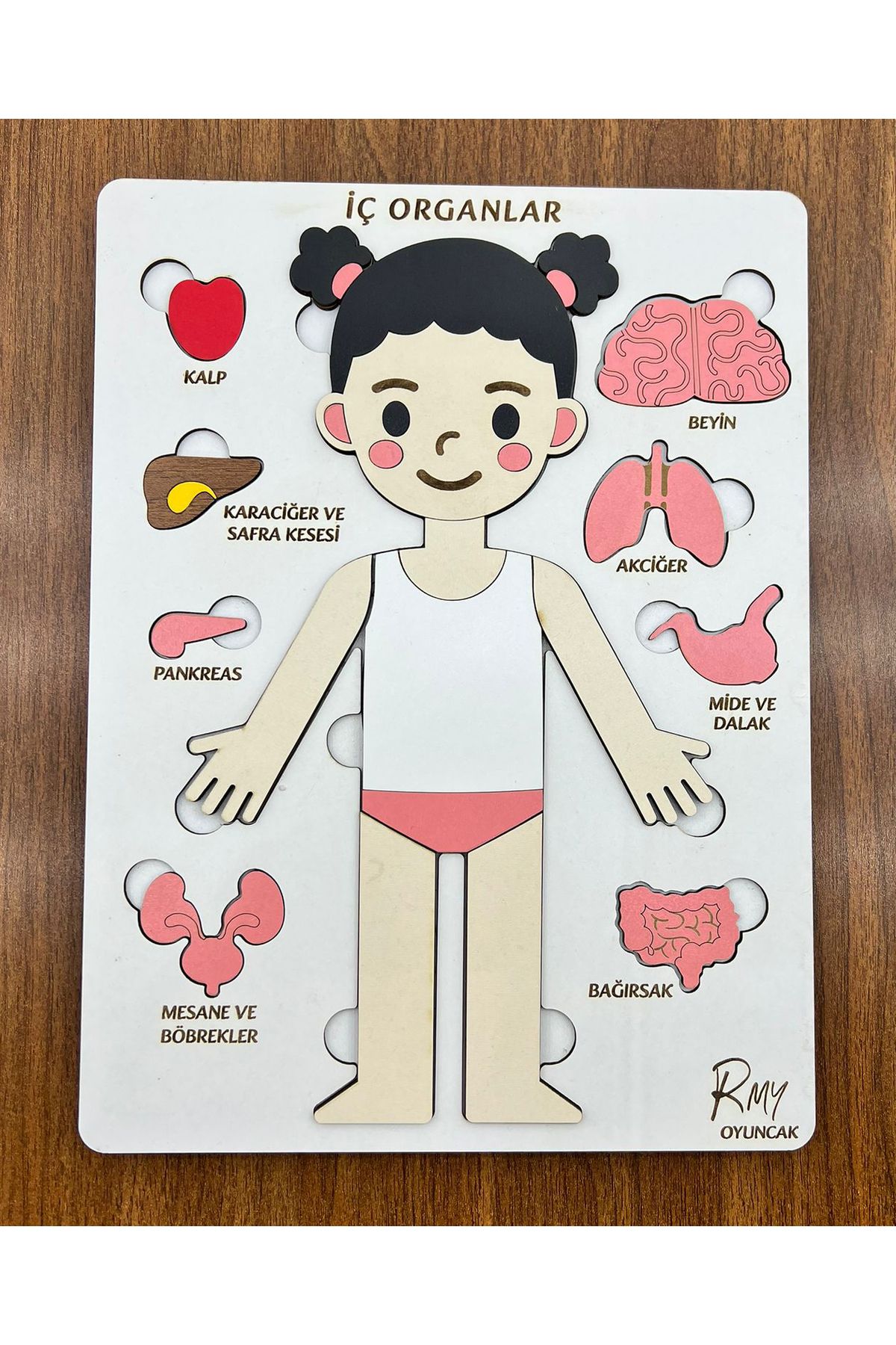 RMY Montessori Ahşap İç Organlar Bul-Tak Eğitim Seti Kız