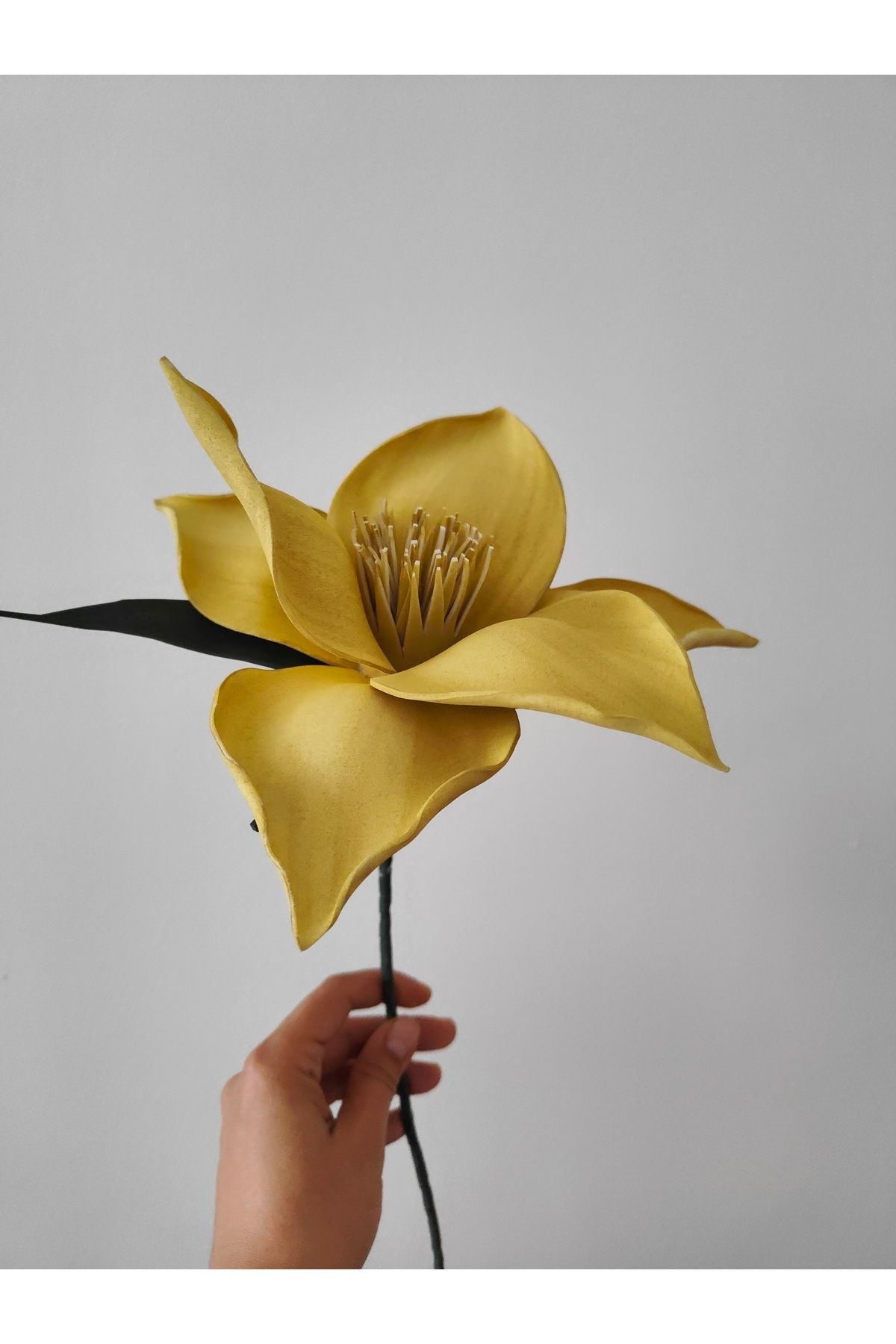 florasera Lateks eva çiçek