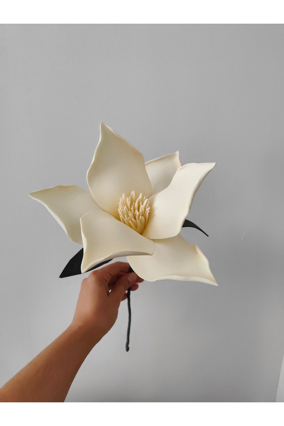 florasera Lateks eva çiçek