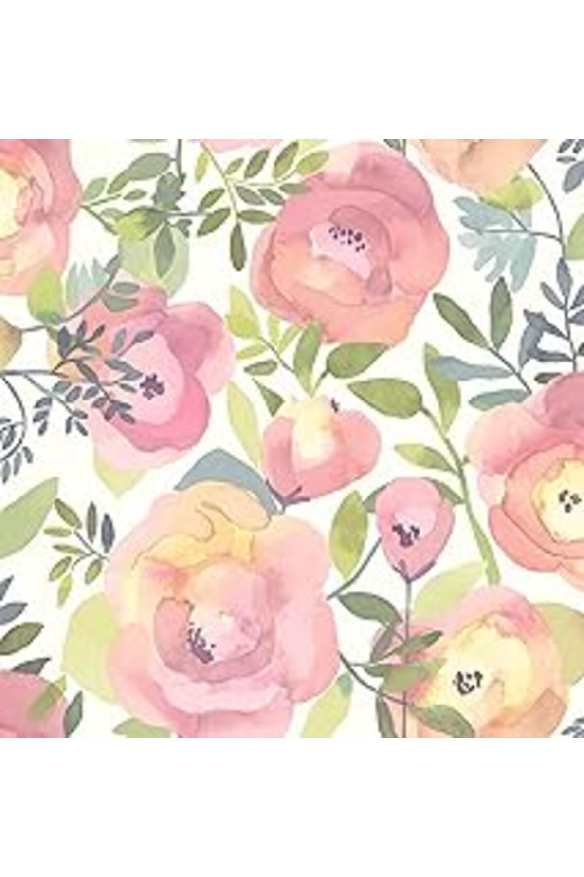Pazarcan Nuwallpaper Nu3035 Peachy Keen Pink Peel & Stick Duvar Kağıdı, Yeşil, Pembe, 548,6 X 52,1 X 0,3 Cm