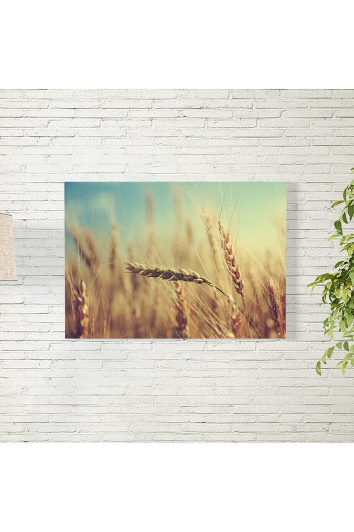 Elioure 50x70 cm Buğday Tarlası Temalı Dekoratif Poster
