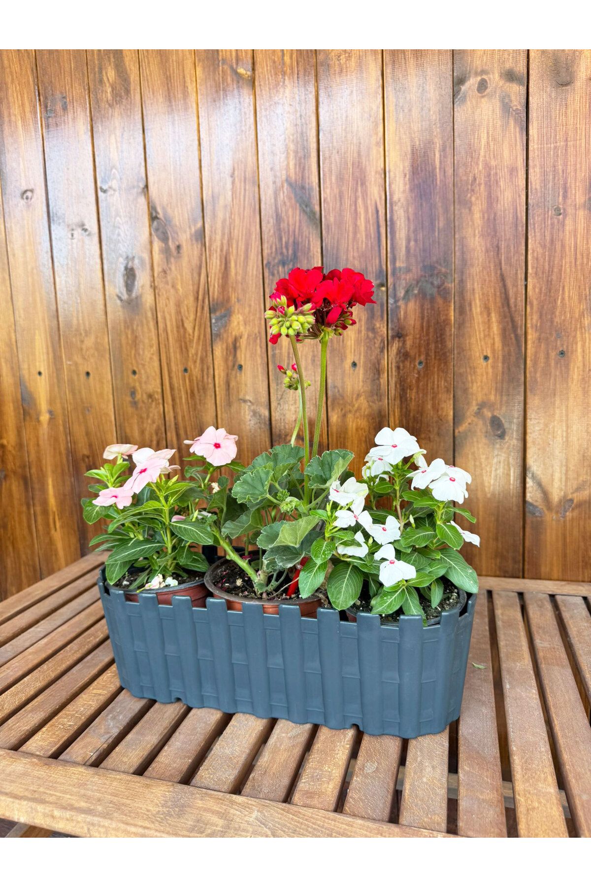 SİHİRLİ AYAKLAR Üçlü Dekoratif Askılı Gri Truva Renkli Çiçek Saksısı 5,5 LT (390x145x125mm)