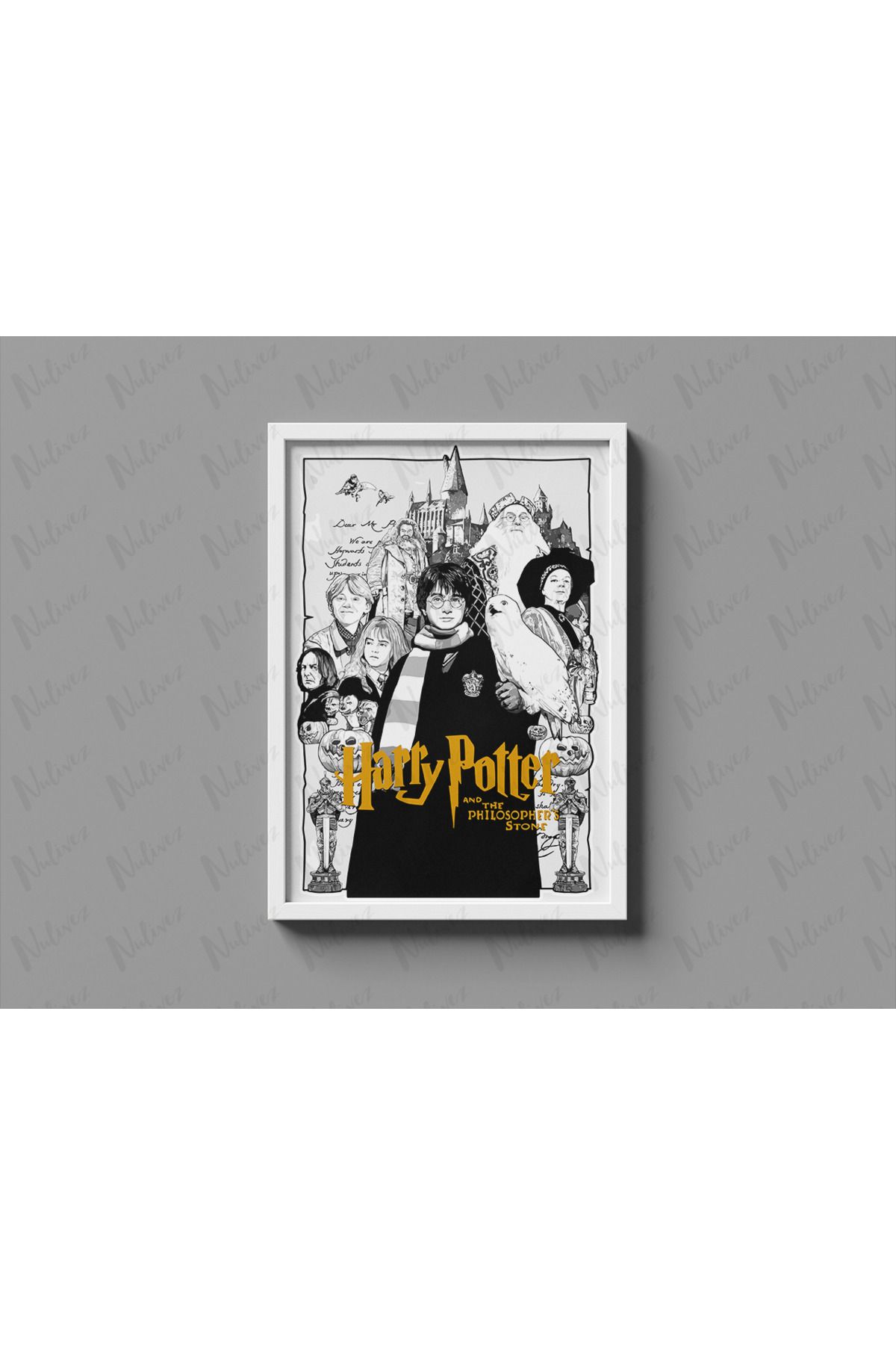 Nulivez Çerçeveli, Harry Potter Tasarımlı Dekoratif Tablo, 300 Micron Antireflecte Korumalı Tablo