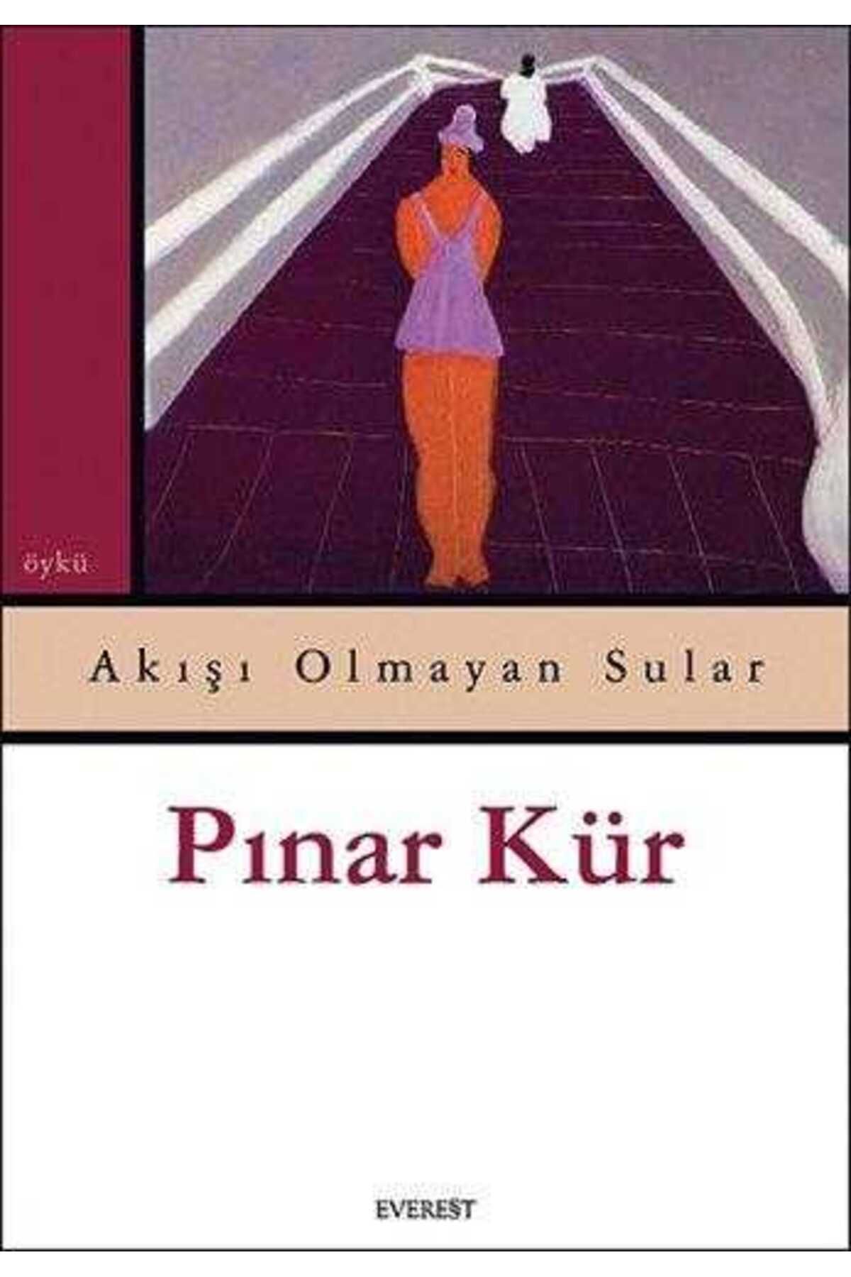 Kişisel Yayınlar Akışı Olmayan Sular - Pınar Kür