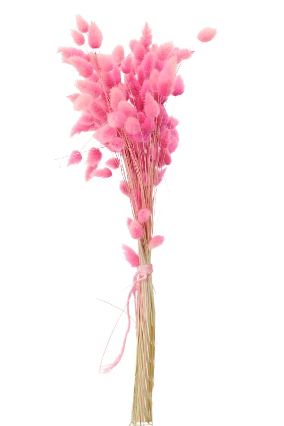 Elioure Canlı Pembe Kuş Otu, Doğal ve Ferahlatıcı Bitki Çayı