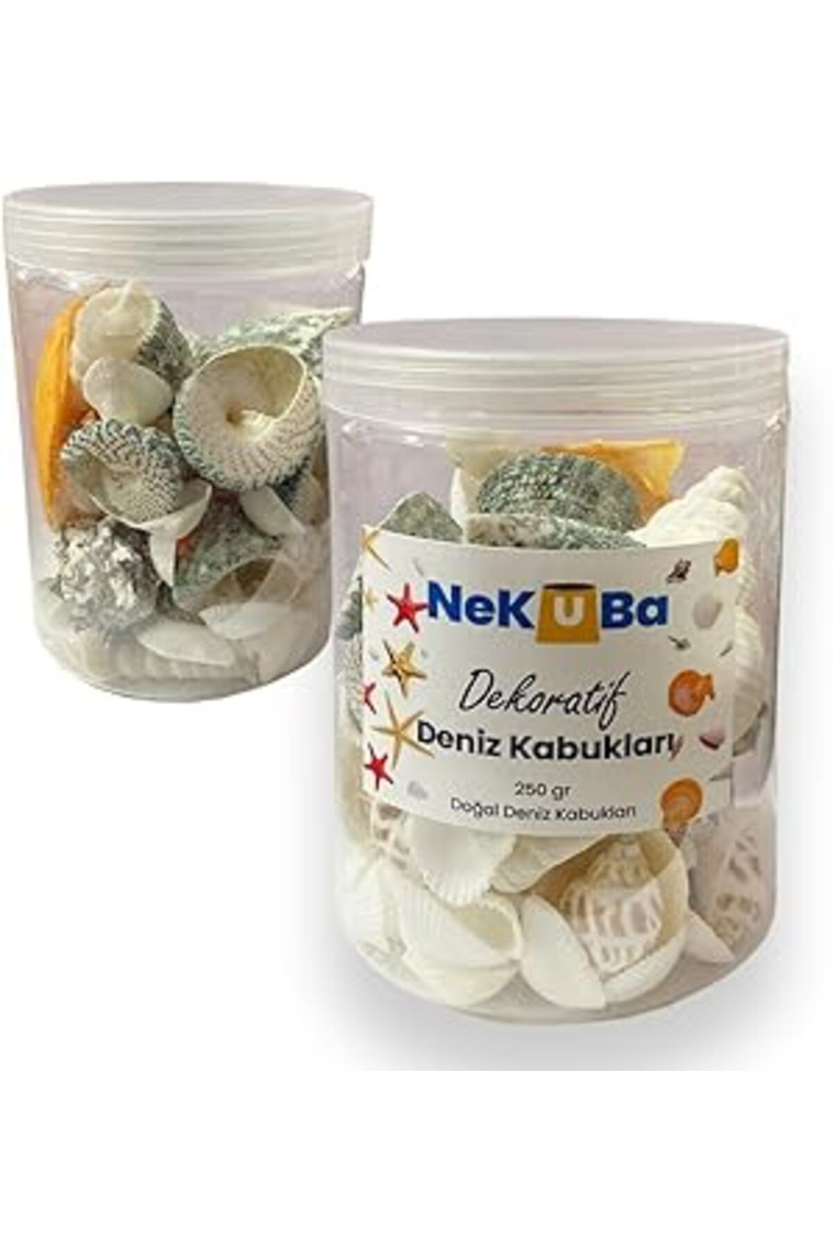 Pazarcan Nekuba Akvaryum, Teraryum,saksı, Süsleme Için Karışık Dekoratif Doğal Deniz Kabukları, 250gr