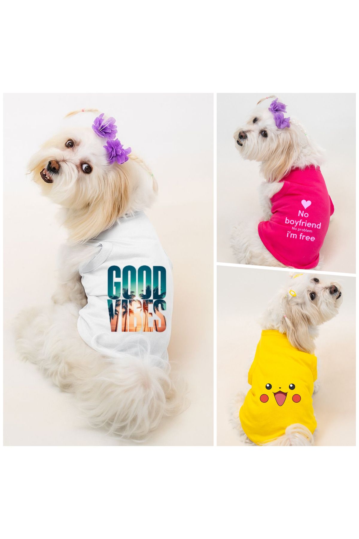 Buddy Store Kedi & Köpek Kıyafeti Giysileri Kıyafetleri - Farklı Baskılı Paket Serisi 3 Adet Tek Fiyat