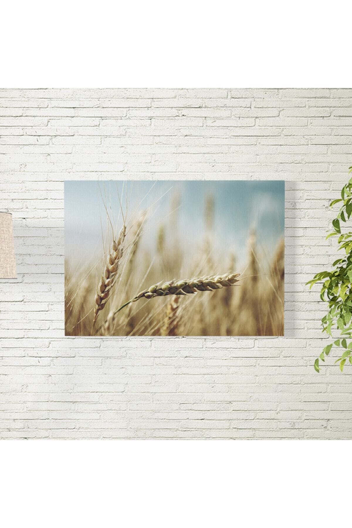 Elioure 35x50 cm Buğday Tarlası Tablosu, doğal ve huzurlu dekorasyon seçeneği