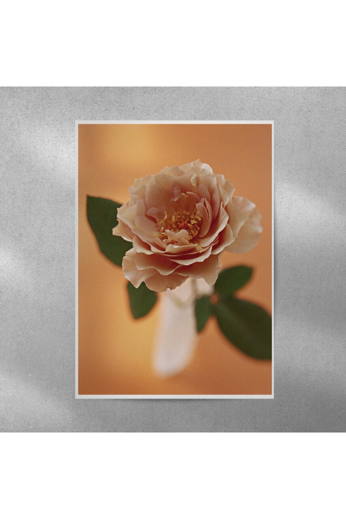 Elioure Gül Temalı 35x50 cm Dekoratif Poster