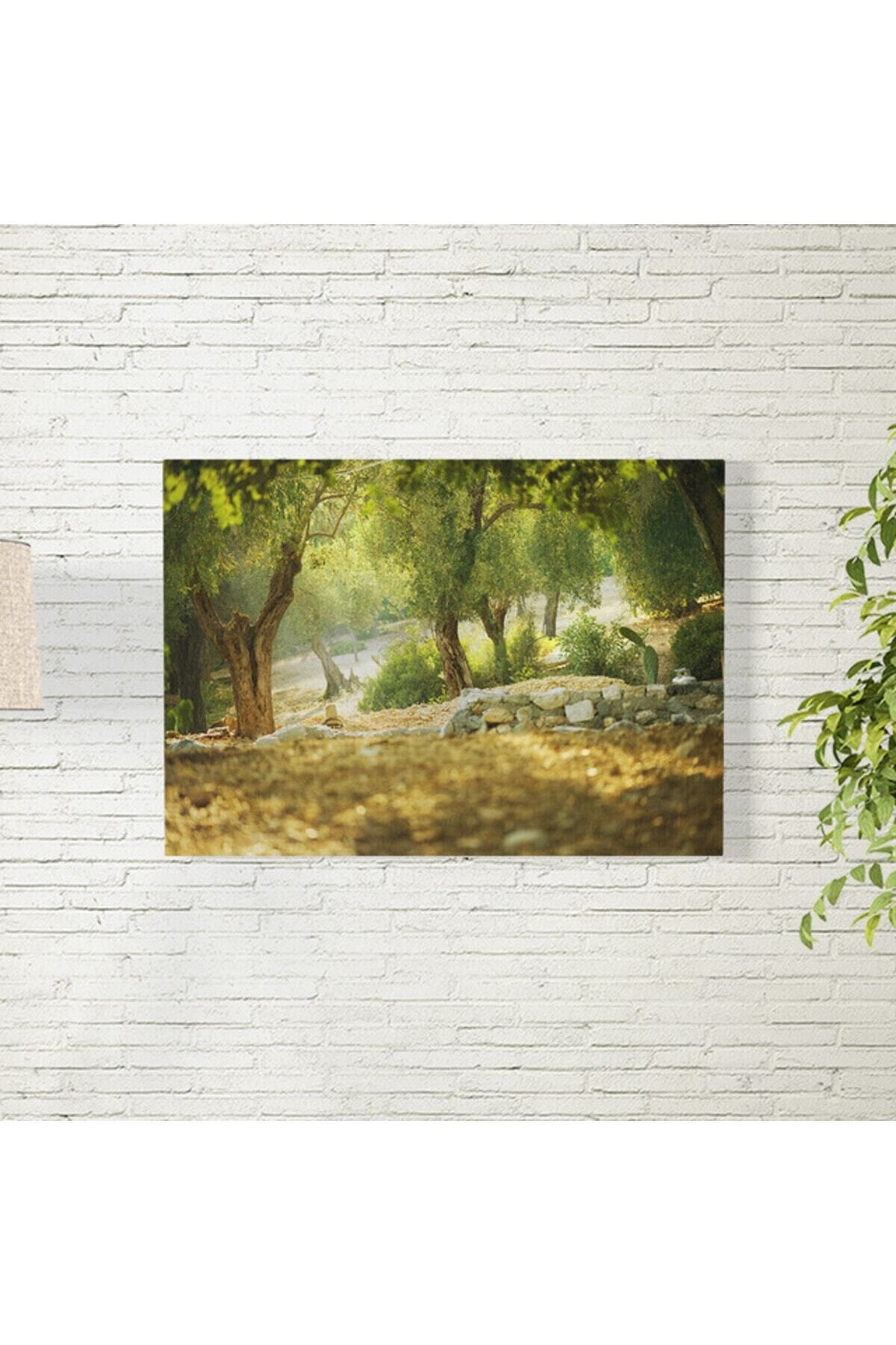 Elioure Doğa Temalı 35x50 cm Poster, Şık ve Huzur Veren Duvar Dekoru