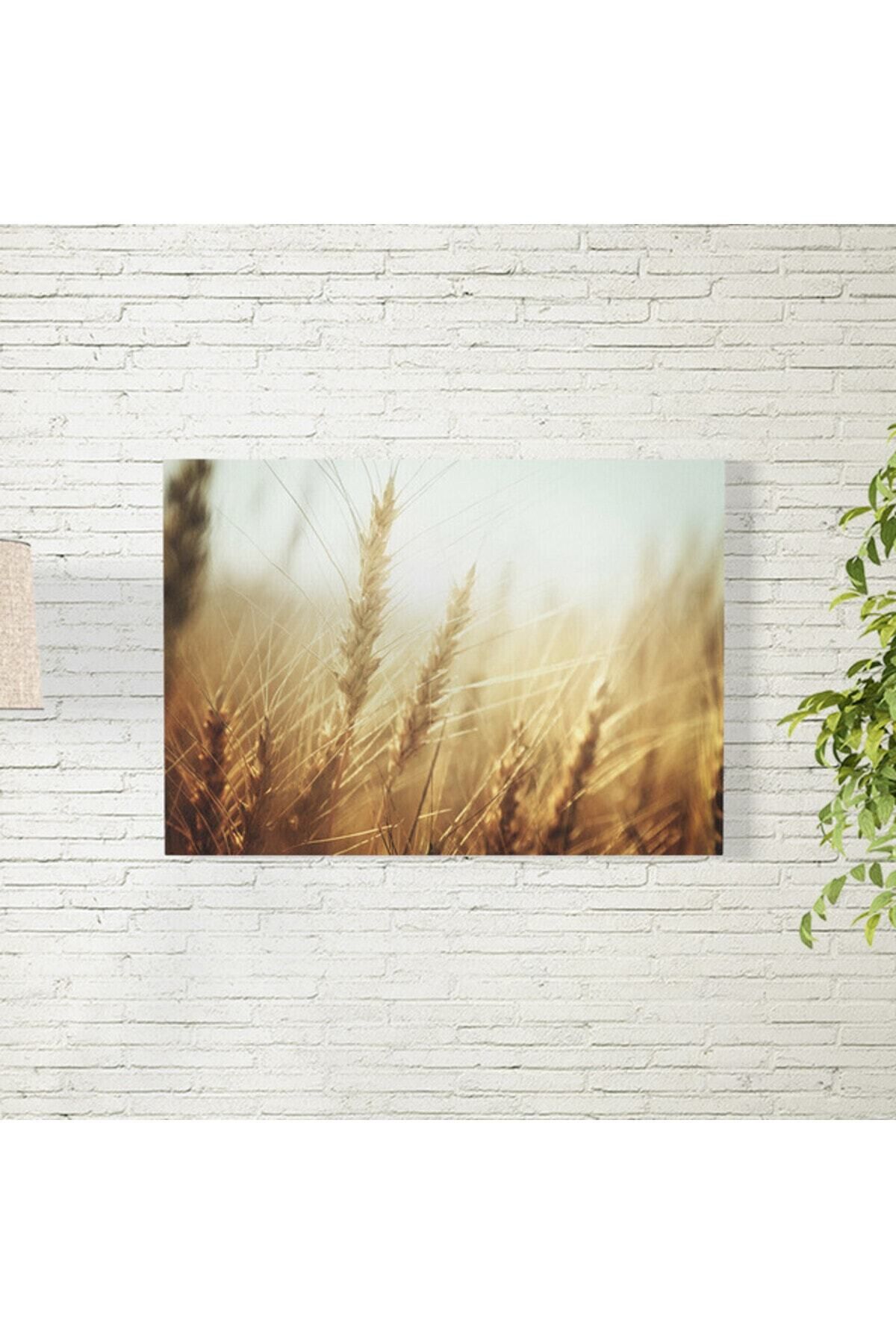 Elioure 35x50 cm Buğday Tarlası Temalı Dekoratif Poster