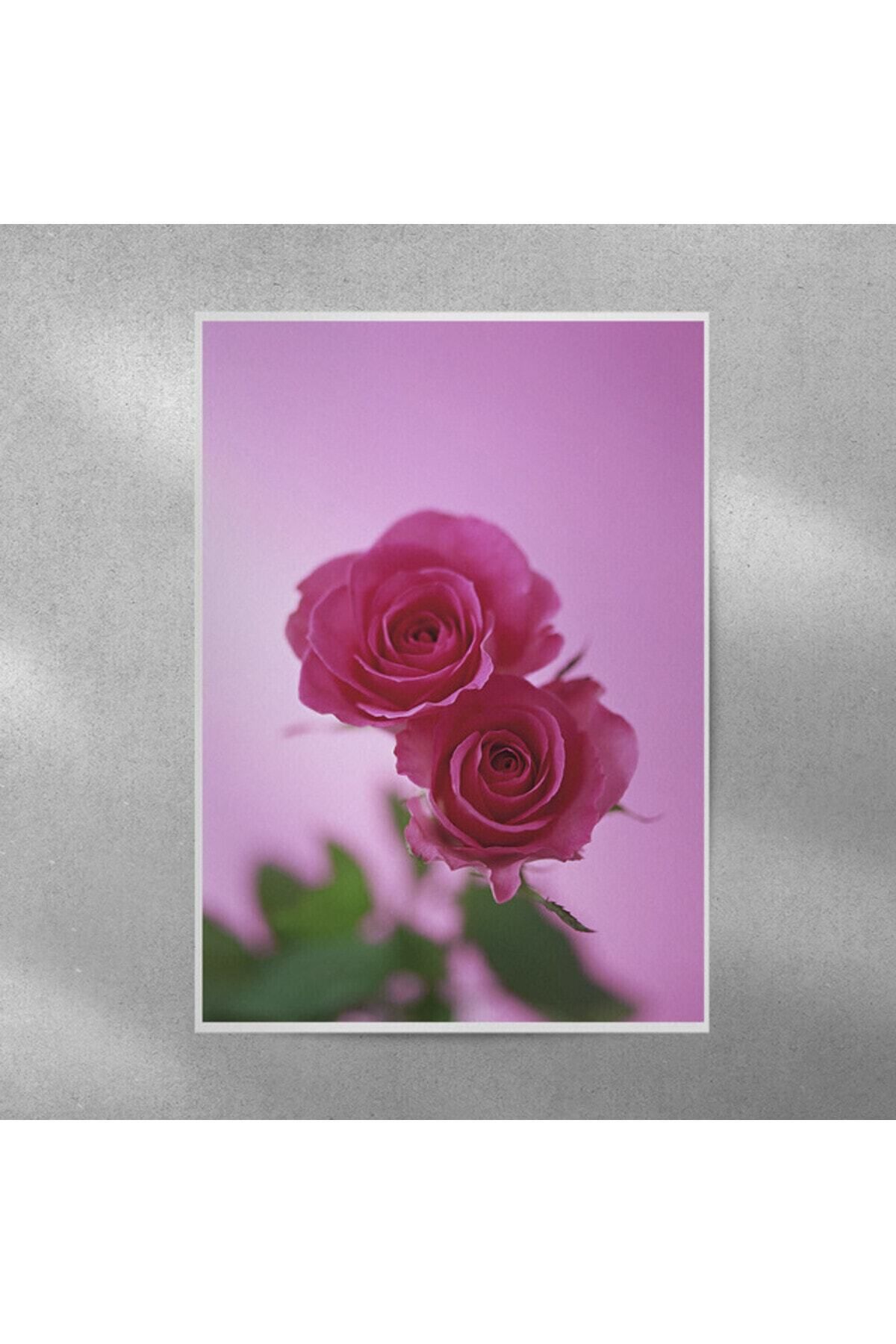Elioure Gül Temalı Çerçeveli Poster 35x50 cm, Şık ve Estetik Dekoratif Çözüm