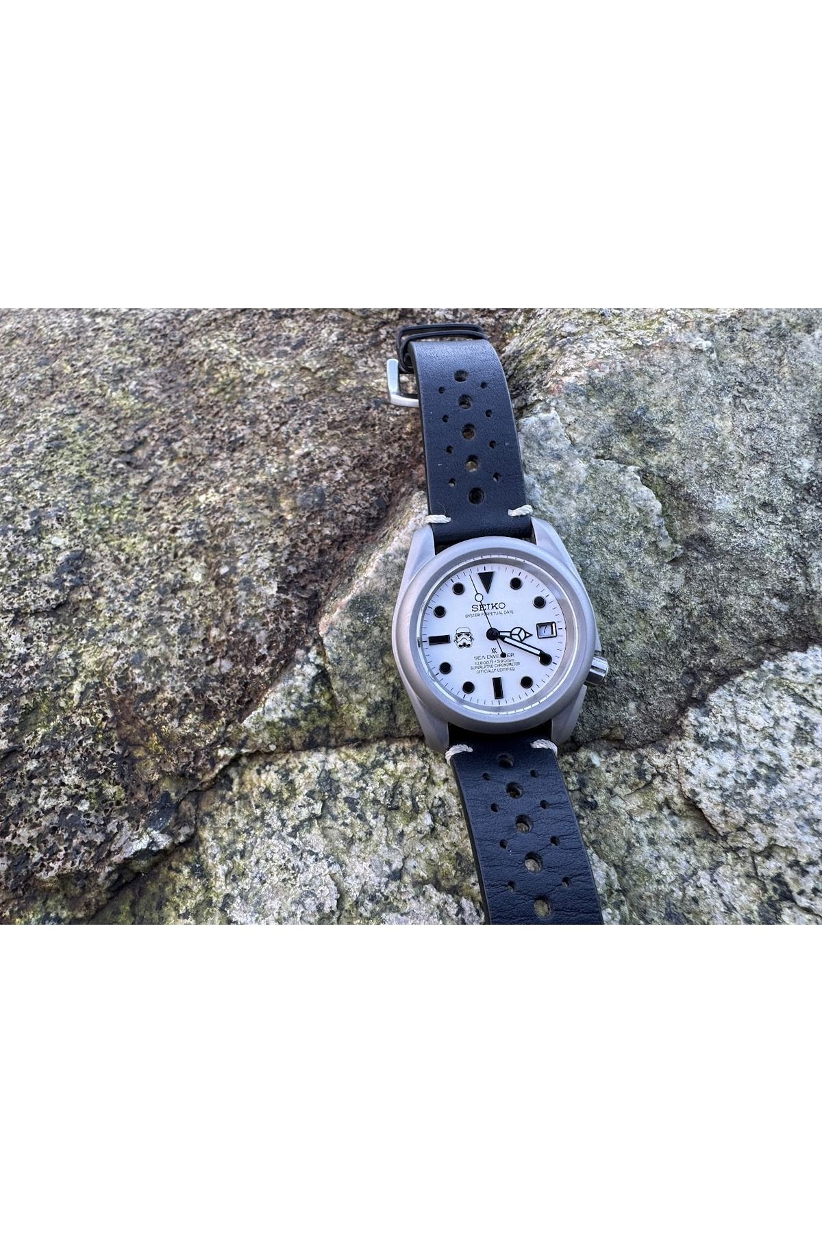 Vision Craft Ronda 515 Seiko NH34 NH35 NH36 NH38 Kılıfı