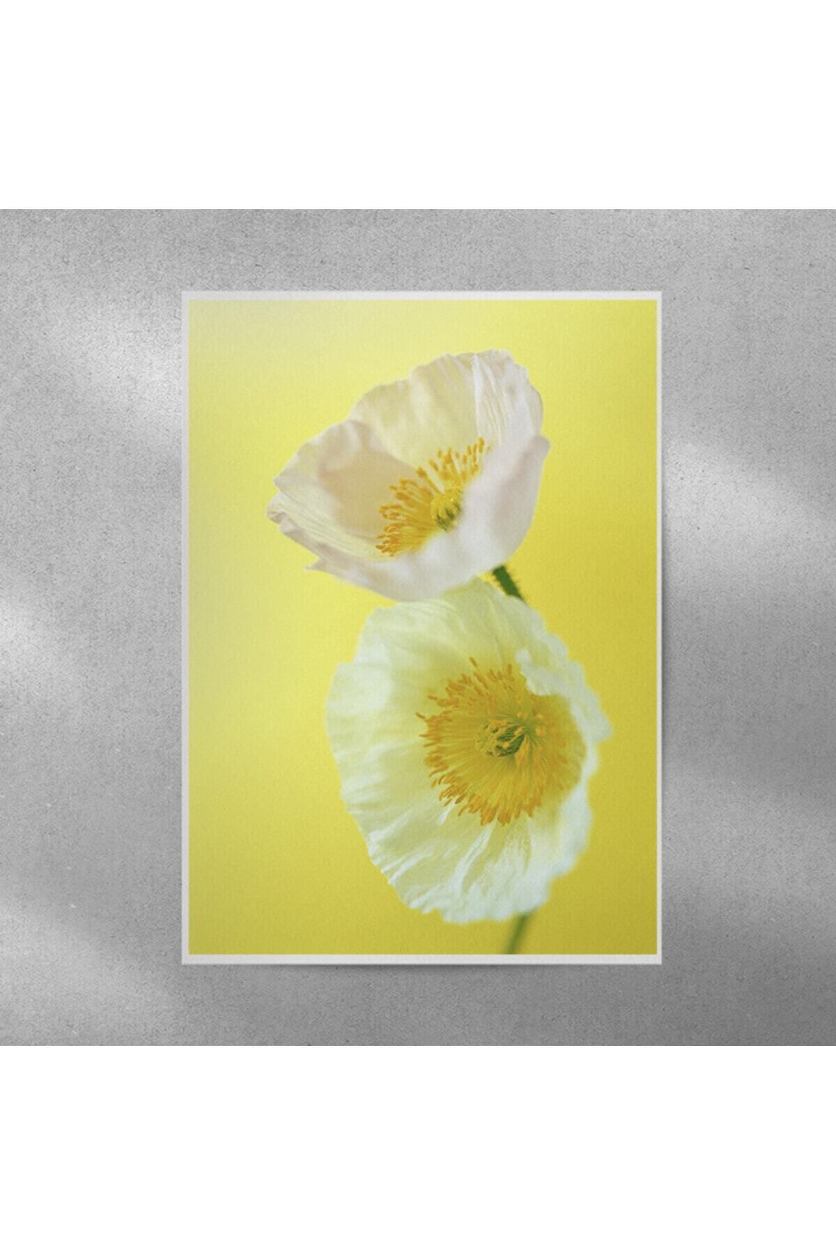Elioure Canlı Gelincik Çerçevesiz Poster 35x50 cm, doğal ve şık dekor seçeneği