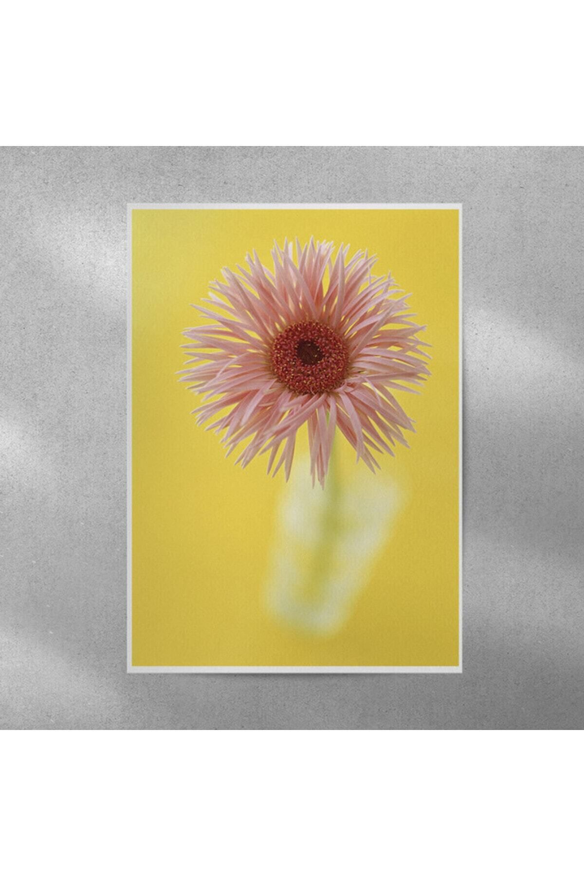 Elioure Pembe Alman Papatyası Posteri 35x50 cm, şık ve doğal dekorasyon için ideal seçim