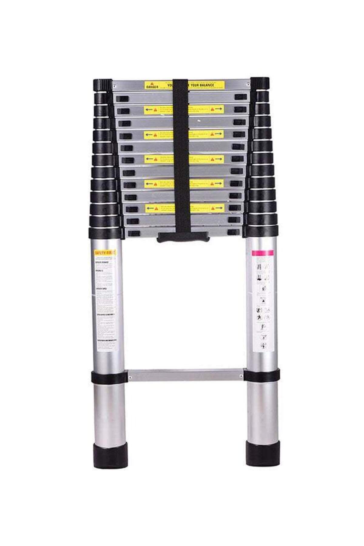 Unspecified-Telescopic Ladder, Multi-Use Extension, Silver 2.9m 1
