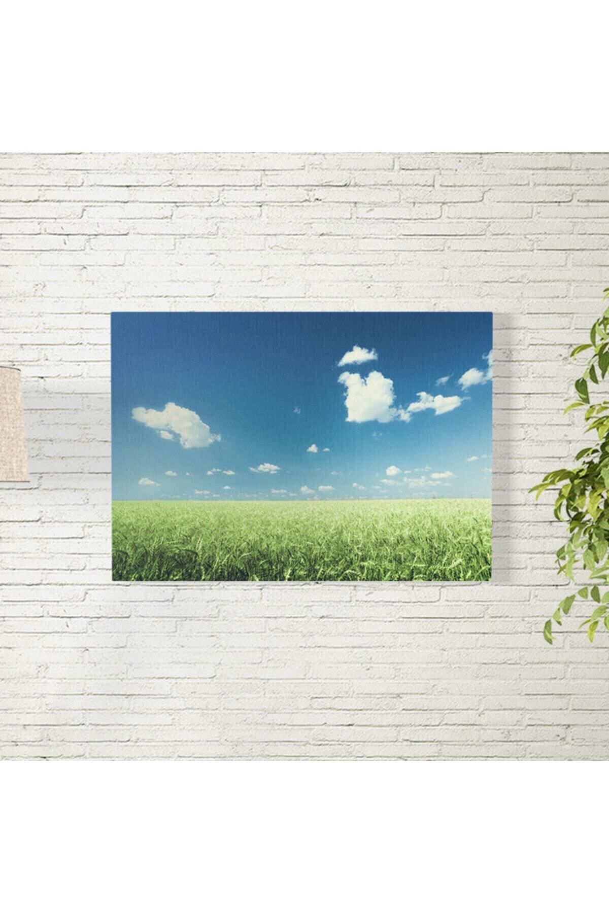 Elioure Yeşil Buğdaylar ve Gökyüzü Temalı 35x50 cm Poster