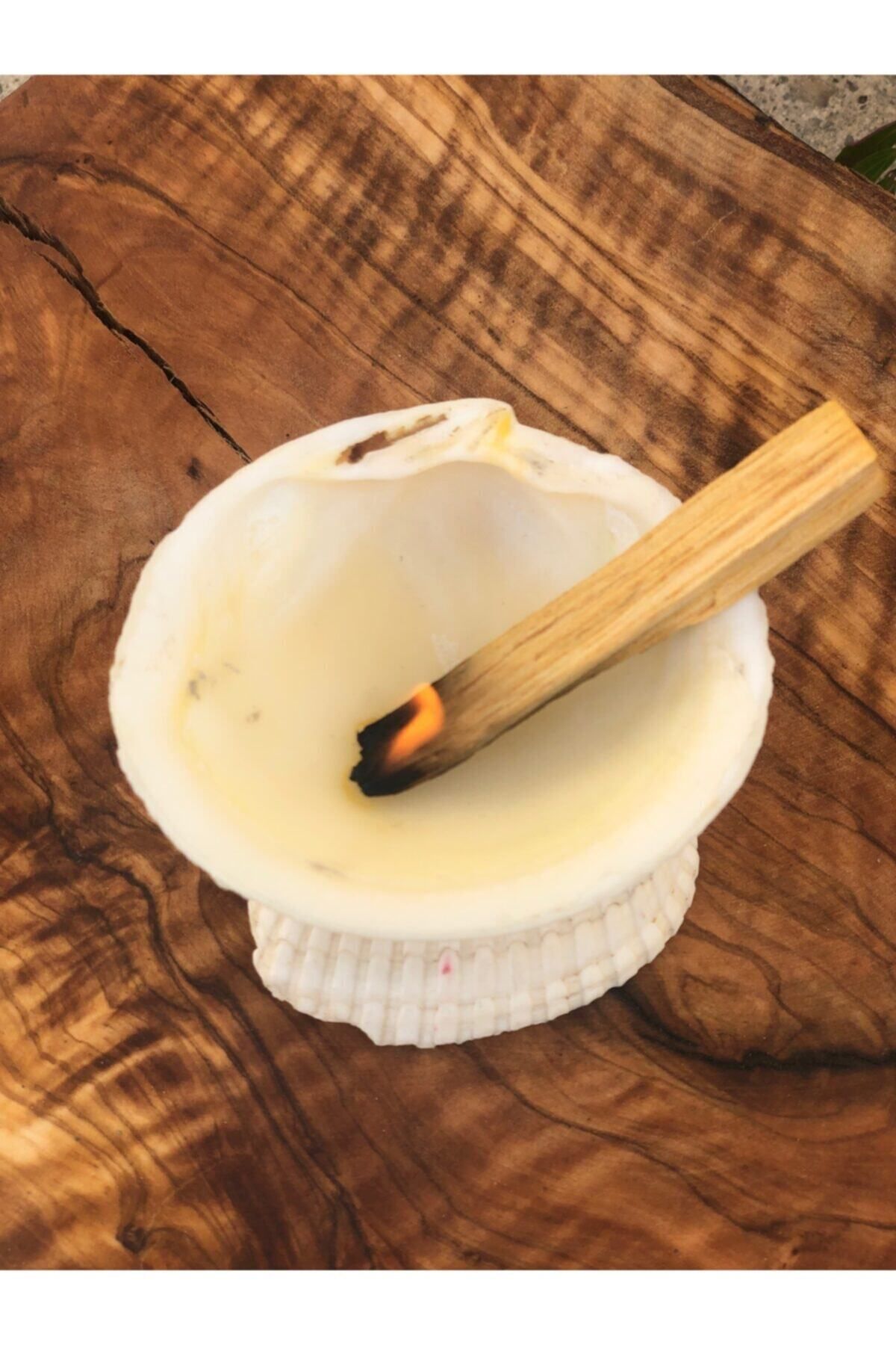 Elioure Organik Palo Santo ve Deniz Kabuğu Tütsü Seti Hediye Alternatif