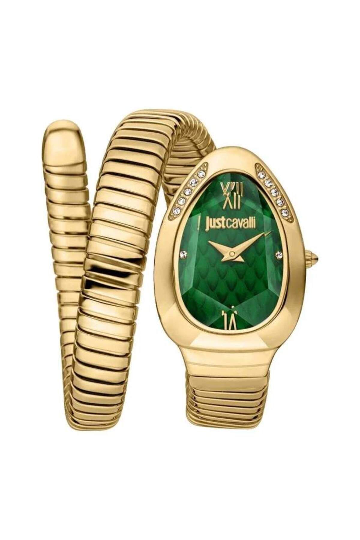 Just Cavalli JC1L223M0035 KADIN KOL SAATİ
