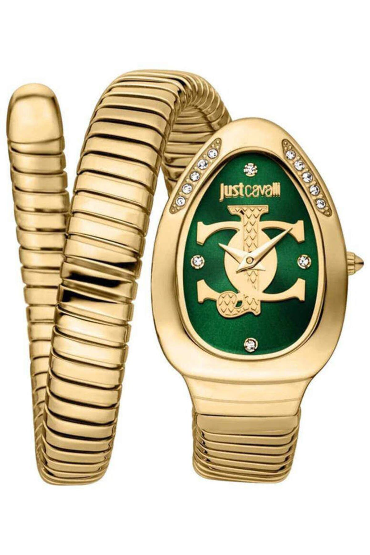 Just Cavalli JC1L227M0045 KADIN KOL SAATİ