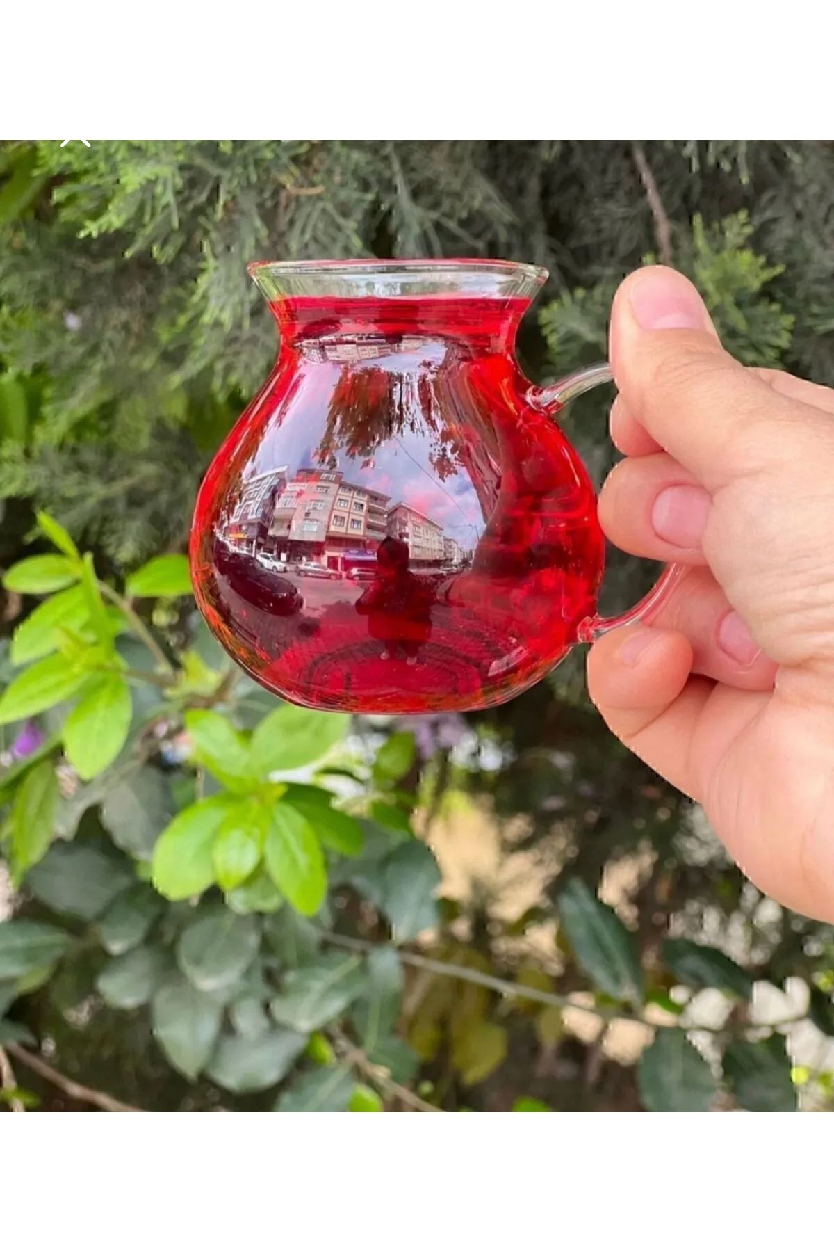 RADGX 3 Adet Keyfi Ala Borosilikat Cam Kulplu Çay Bardağı 210 ml Bardak
