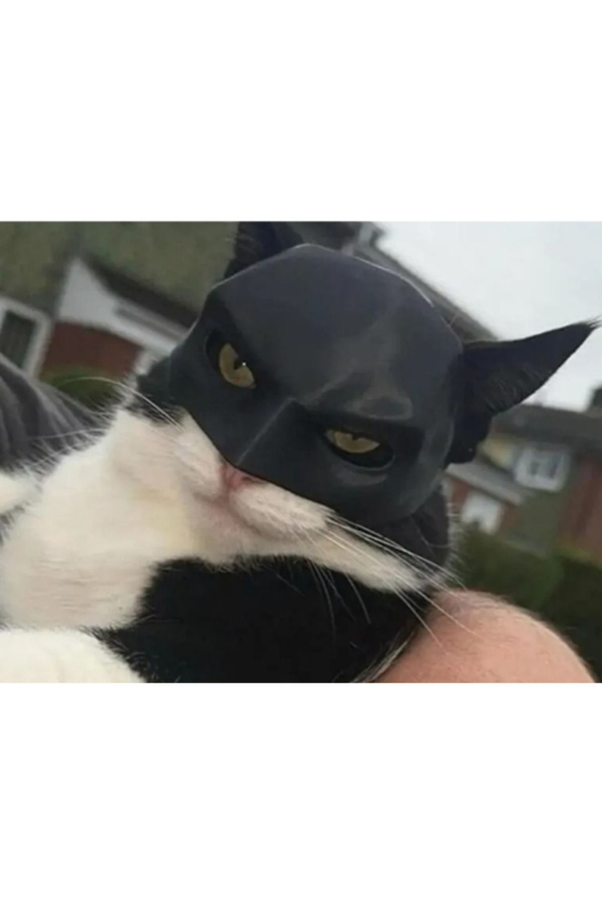 EMAKE3D Kediler İçin Batman Maskesi – Komik Evcil Hayvan Aksesuarı