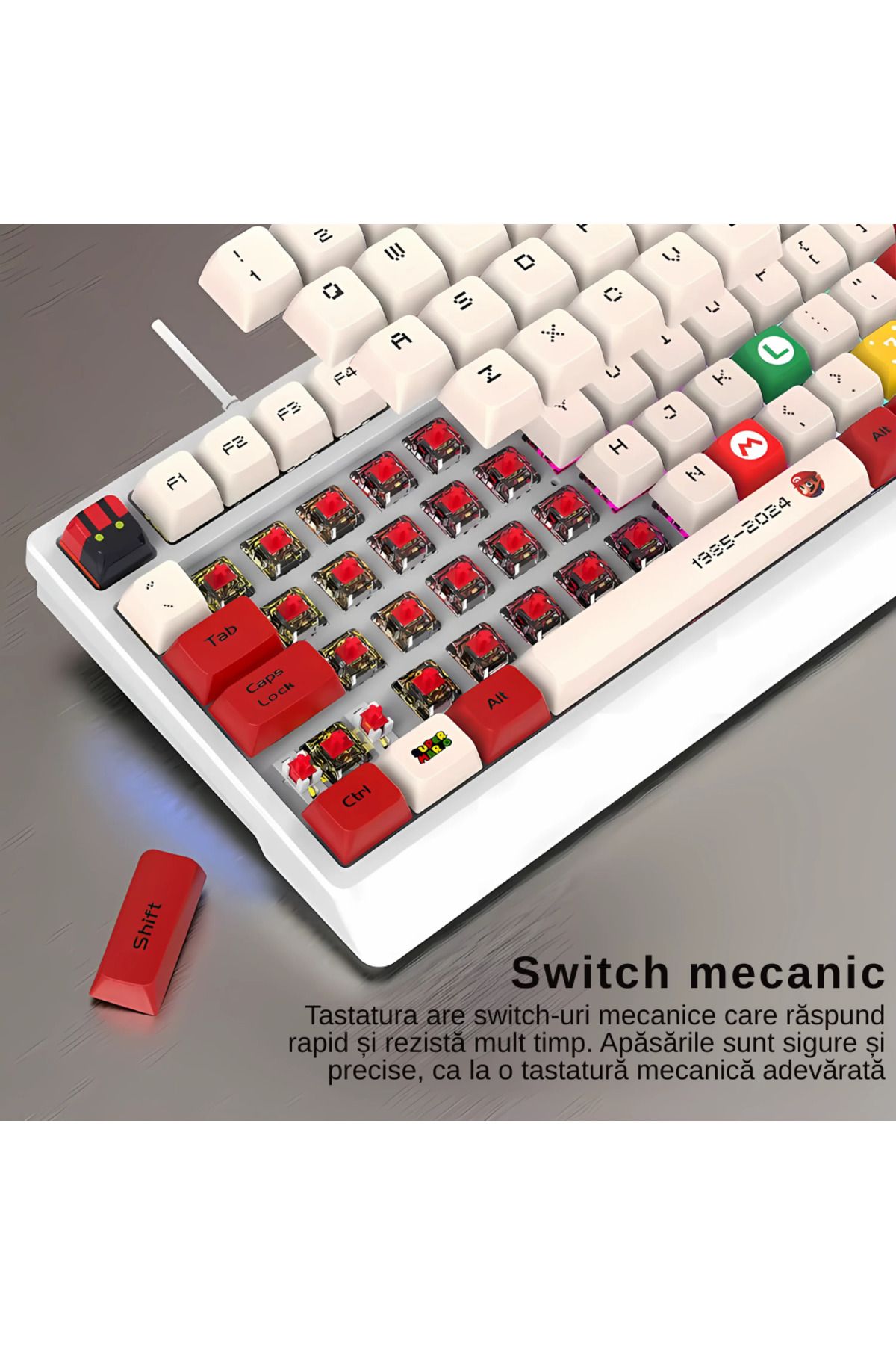 LUDORA-Mechanical Gaming Keyboard, Rainbow RGB Lighting, USB Cable, Mechanical Switch, 98 Buttons 7