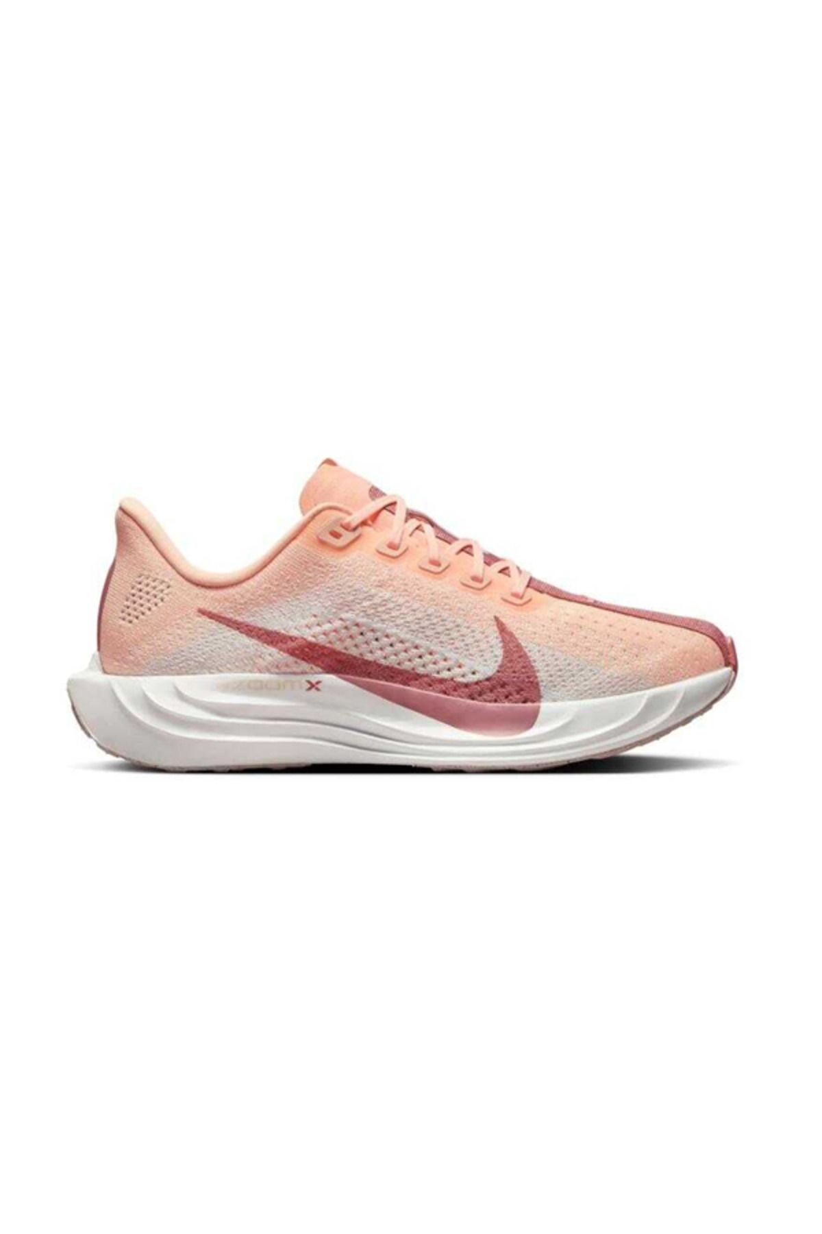 Nike Pegasus Plus Kadın Koşu Ayakkabısı
