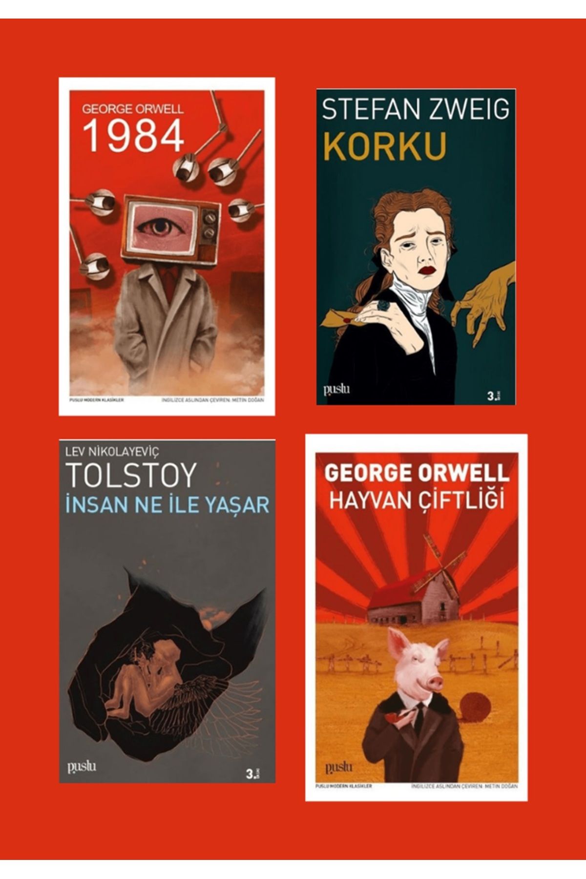 Puslu Yayıncılık Dünya Edebiyatı Seçkisi 4 kitap