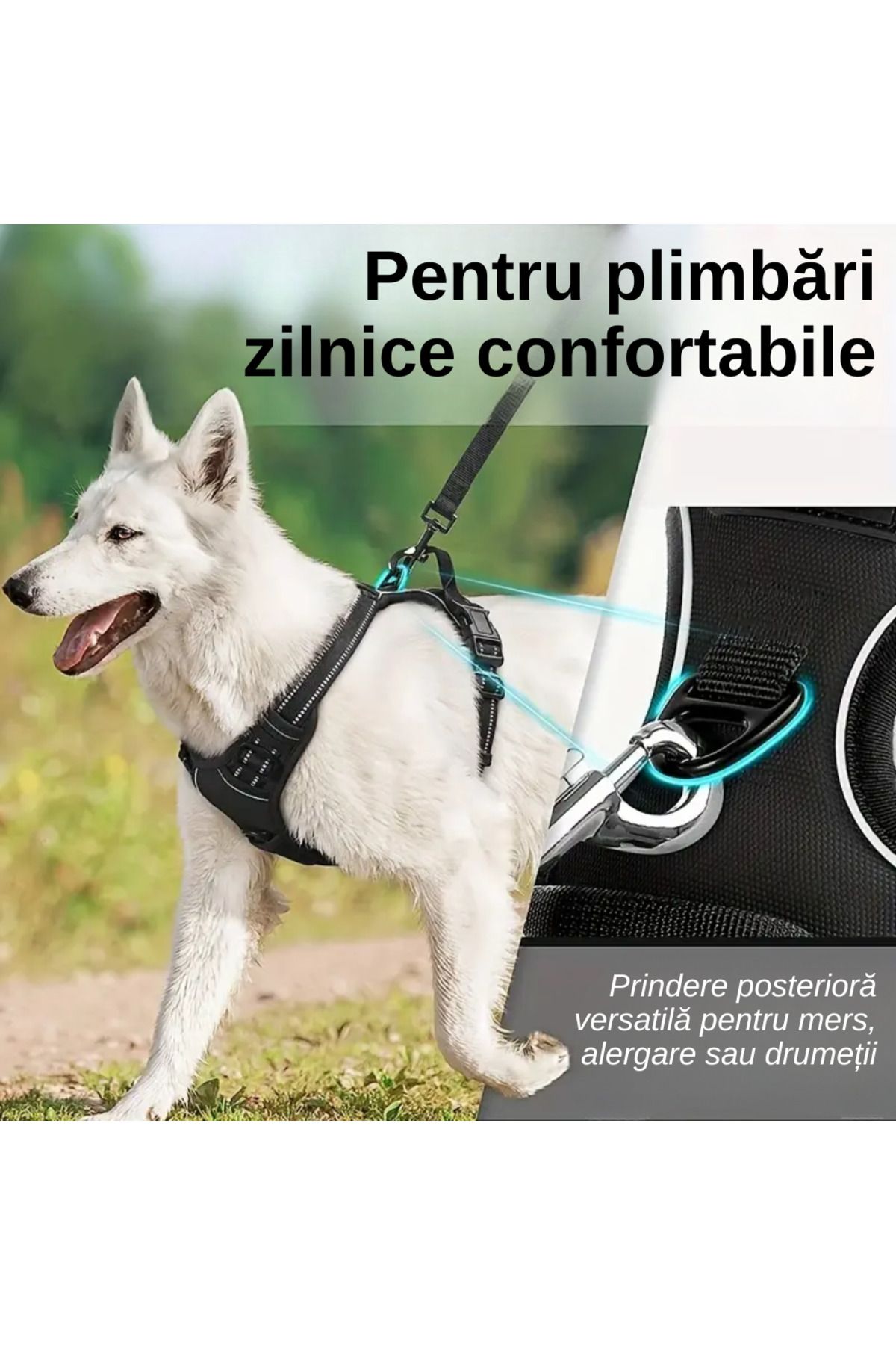 LUDORA-Dog Harness and Leash Set ®, Soft Lining, Breathable Material, Comfortable 7