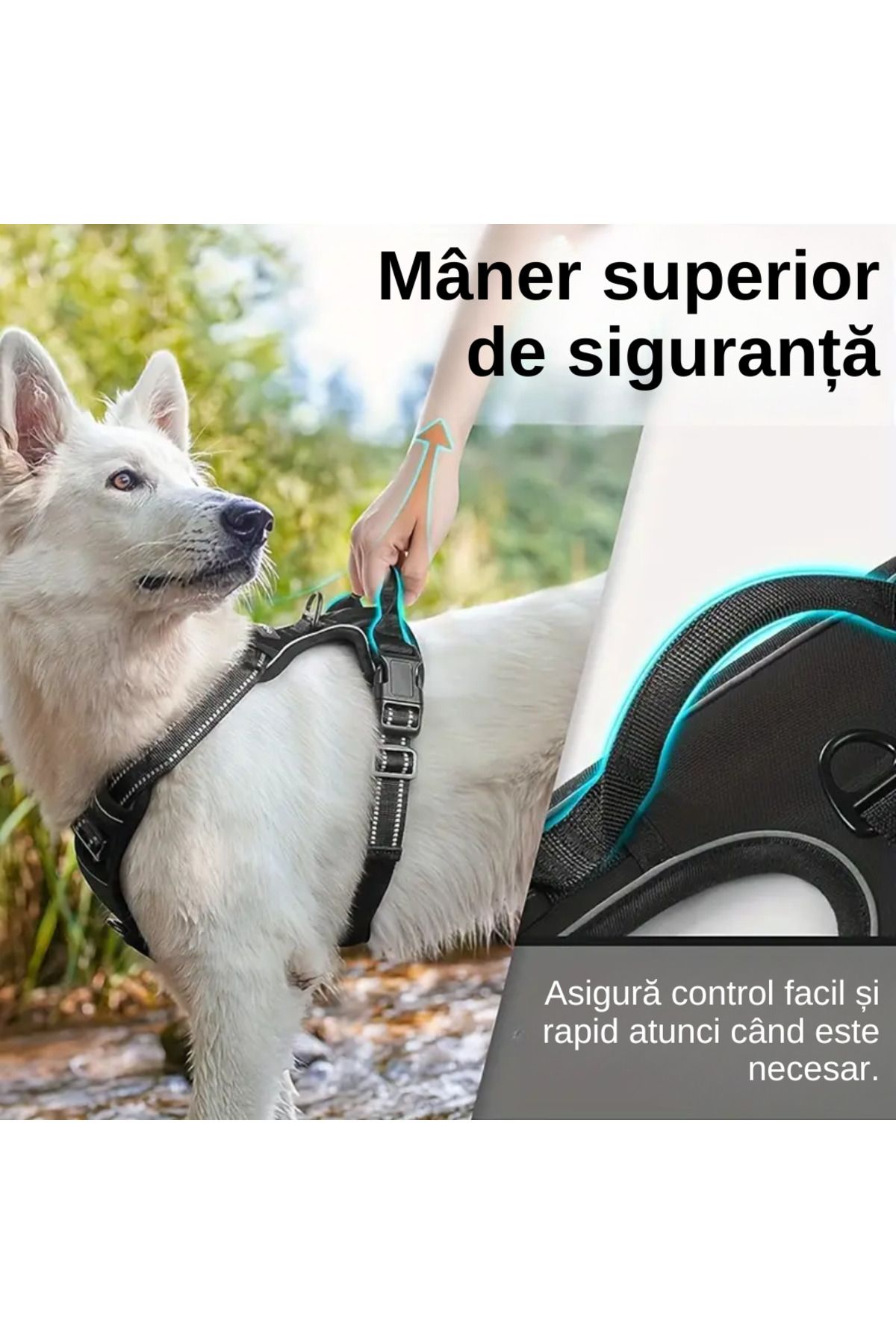 LUDORA-Dog Harness and Leash Set ®, Soft Lining, Breathable Material, Comfortable 8
