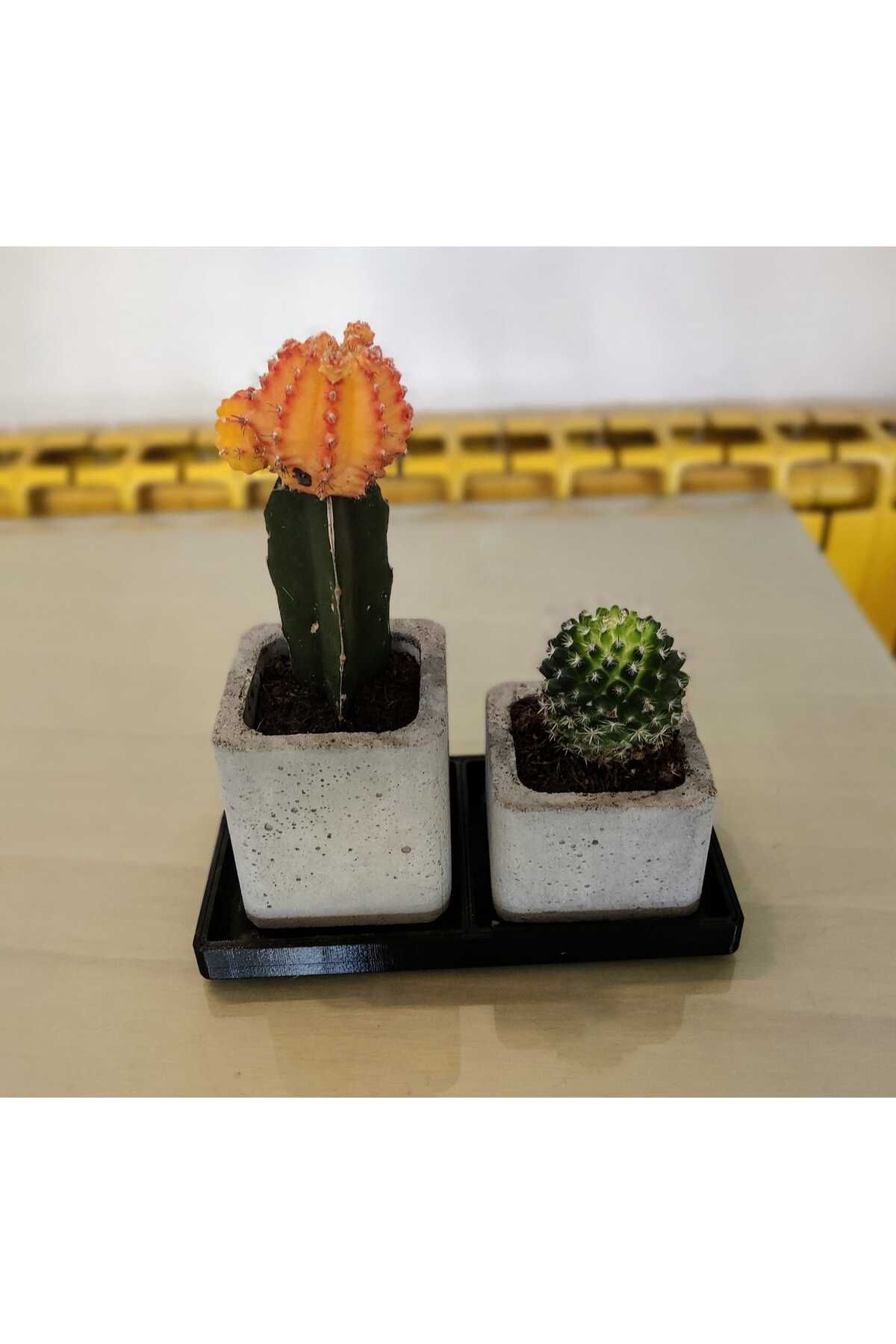 Vision Craft Beton pot kalıbı