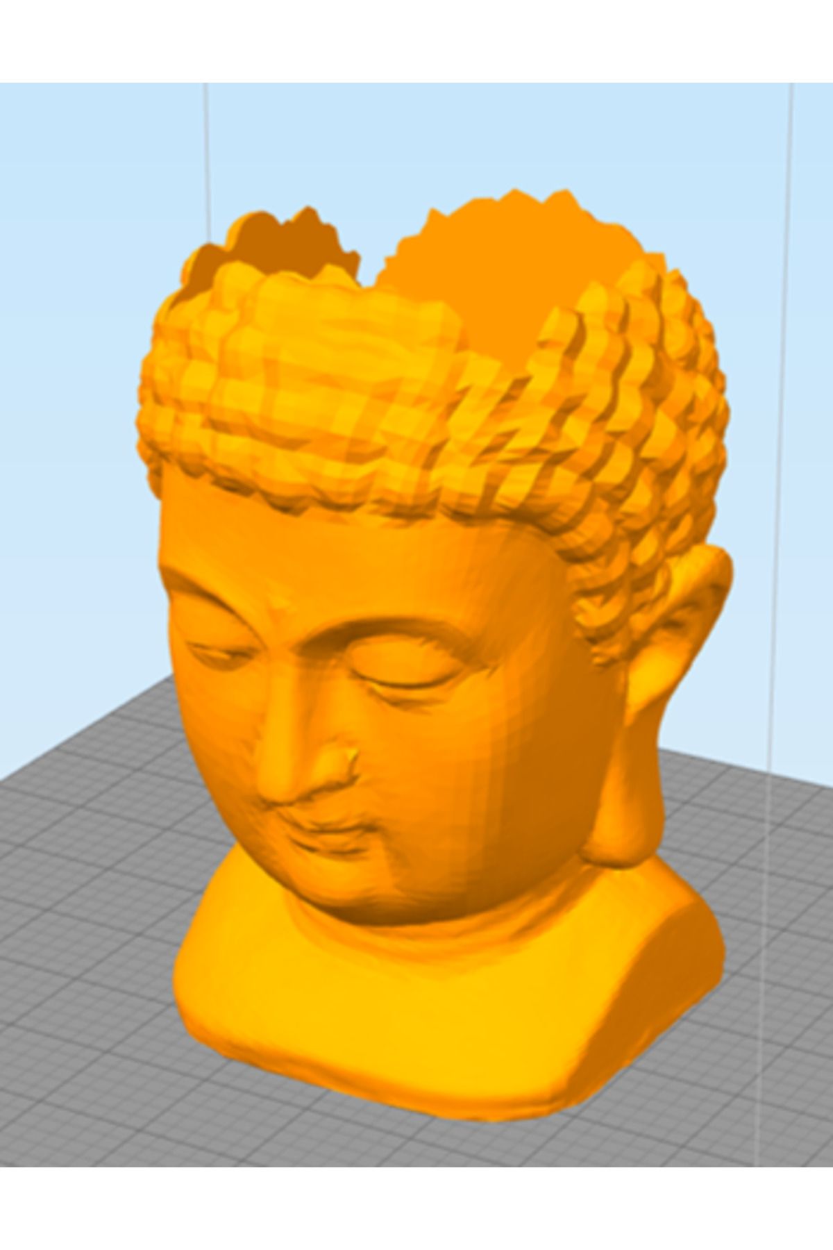 Vision Craft Buda Pot bitki meydanı