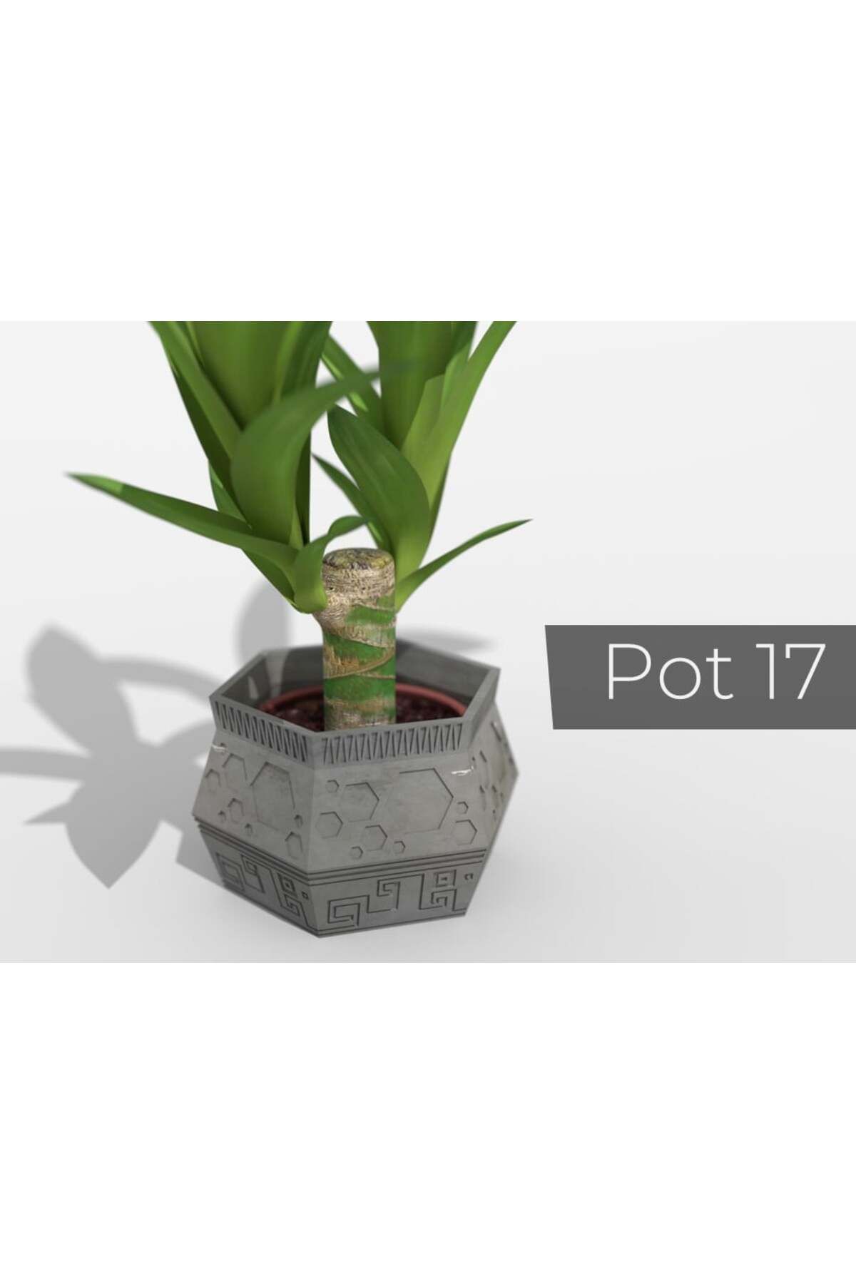 Vision Craft Pot _17
