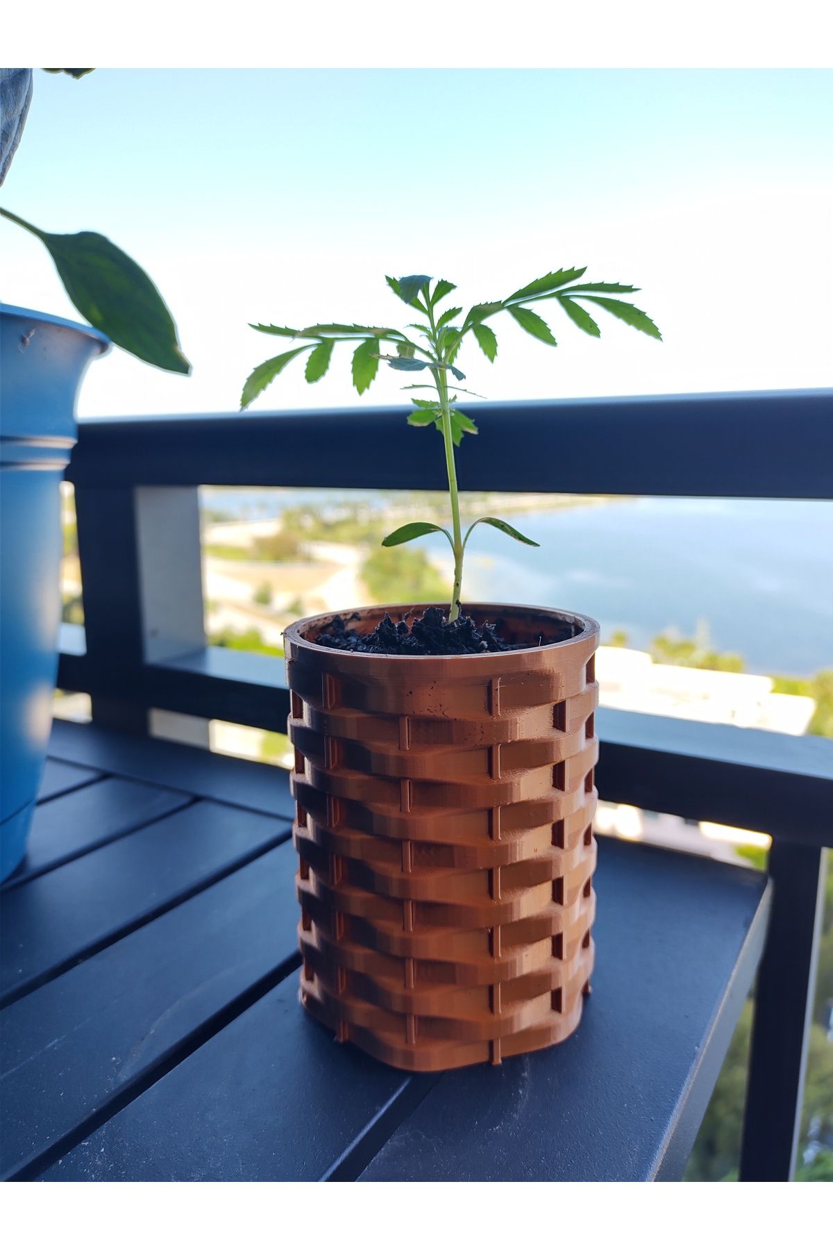 Vision Craft Dokumalı doku ekici tenceresi