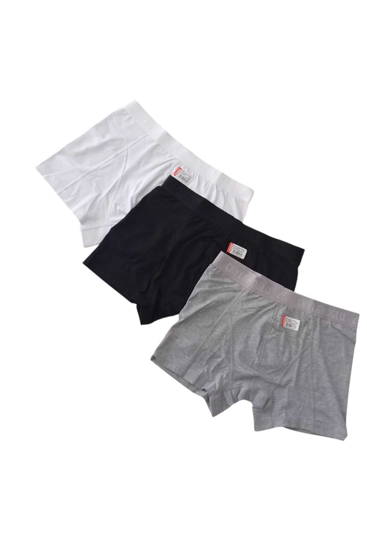 balkonda Boxer pamuklu cotton modal 3'lü ekonomik paket beyaz-siyah-gri slim fit ekstra esnek CBK4-1