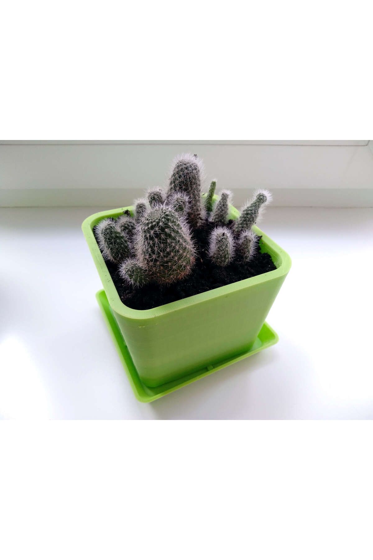 Vision Craft Kübik saksı