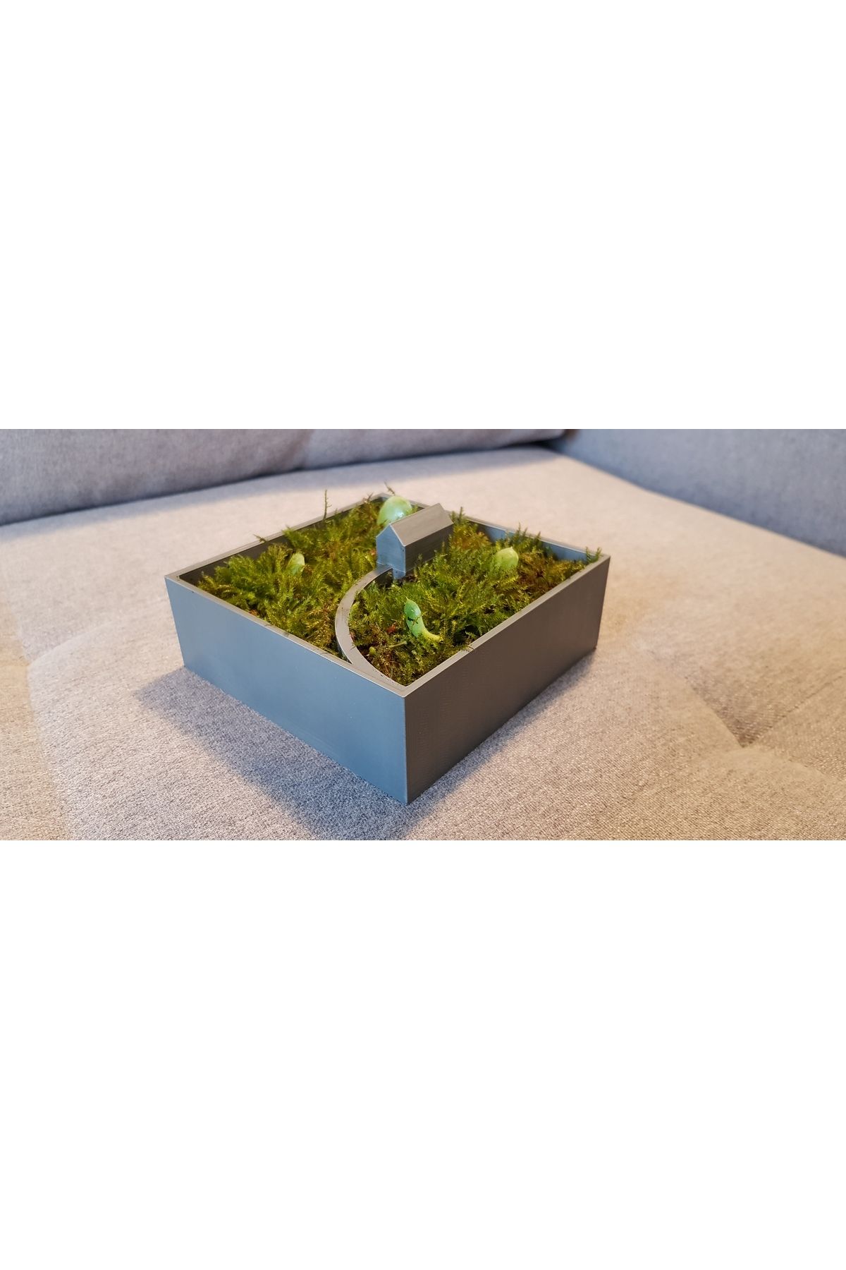 Vision Craft Saksı ve ev