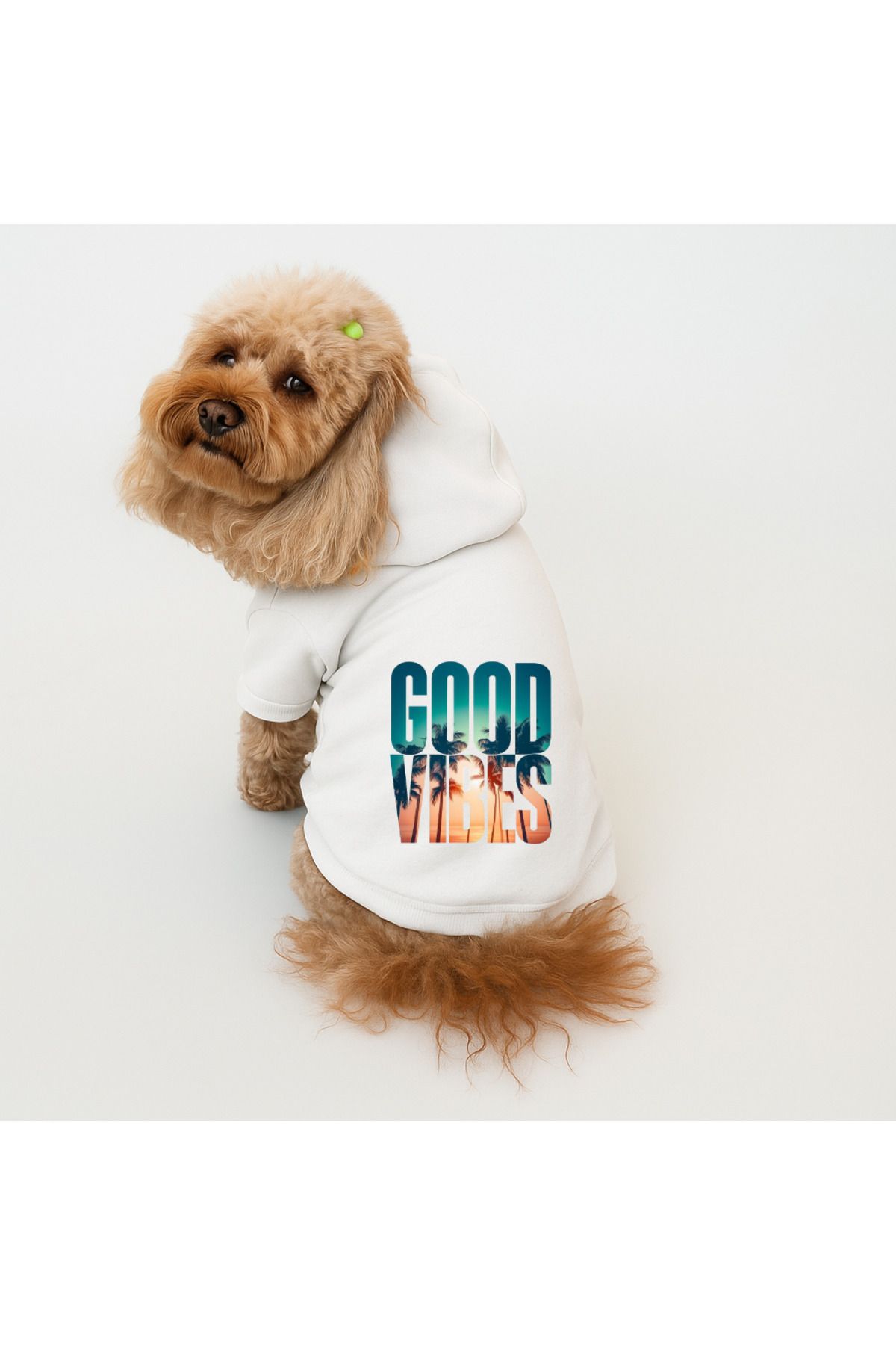 Buddy Store Kedi Ve Köpek Kıyafeti Elbiseleri Giysileri - Baskılı Beyaz Sweatshirt Hoodie