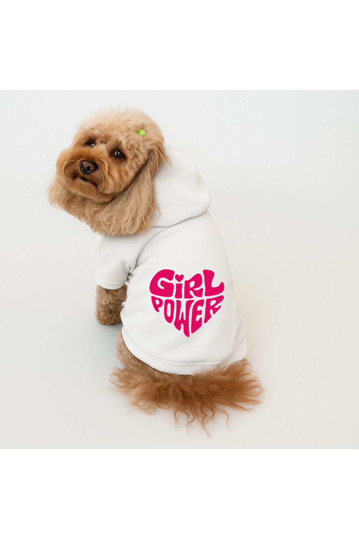 Buddy Store Kedi Ve Köpek Kıyafeti Elbiseleri Giysileri - Baskılı Beyaz Sweatshirt Hoodie