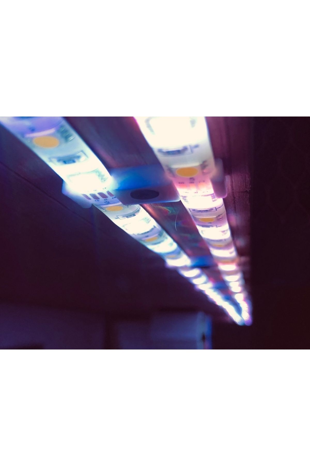 Lucest Çift LED Şerit Klipsi (Plastik Aparattır!!!)