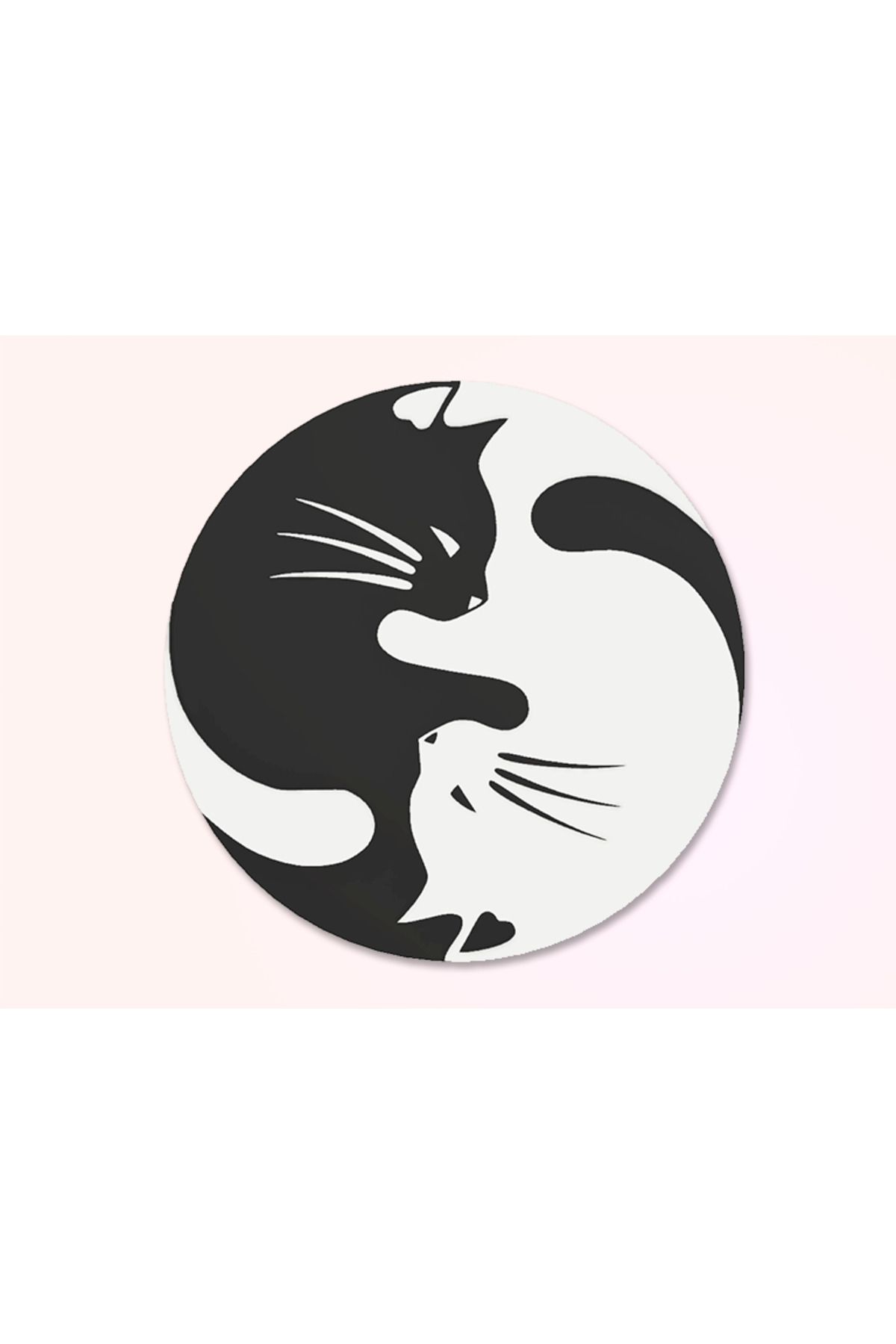 Lucest Kara Kedi, Beyaz Kedi (Plastik Aparattır!!!)